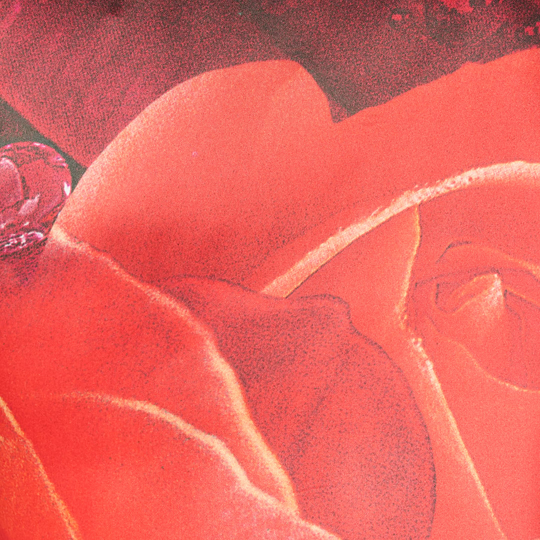 Roberto Cavalli Rose-Print Silk Shirt | Thumbnail 4