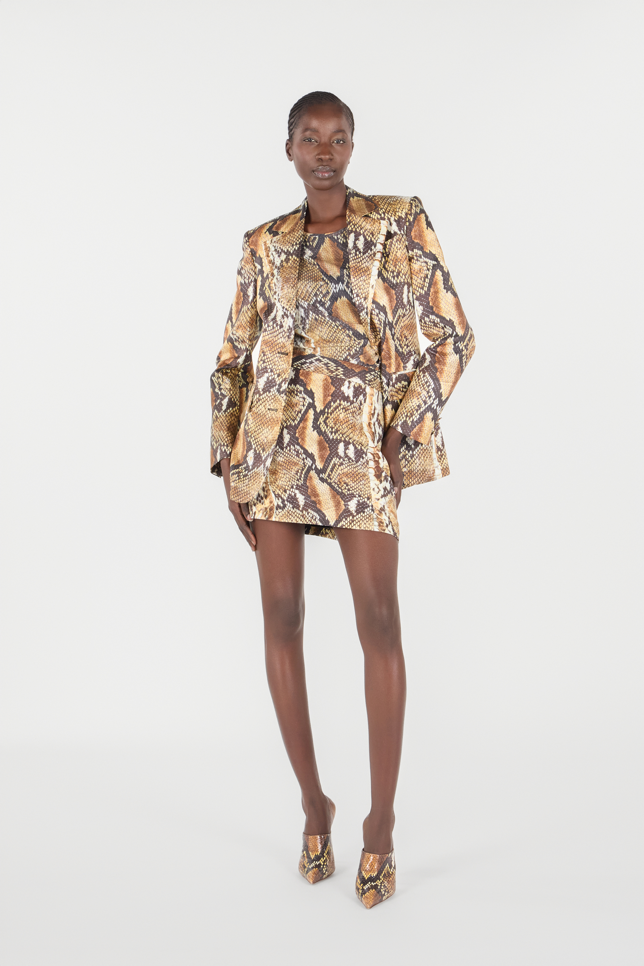 Roberto Cavalli Python Print Mini Skirt In Brown
