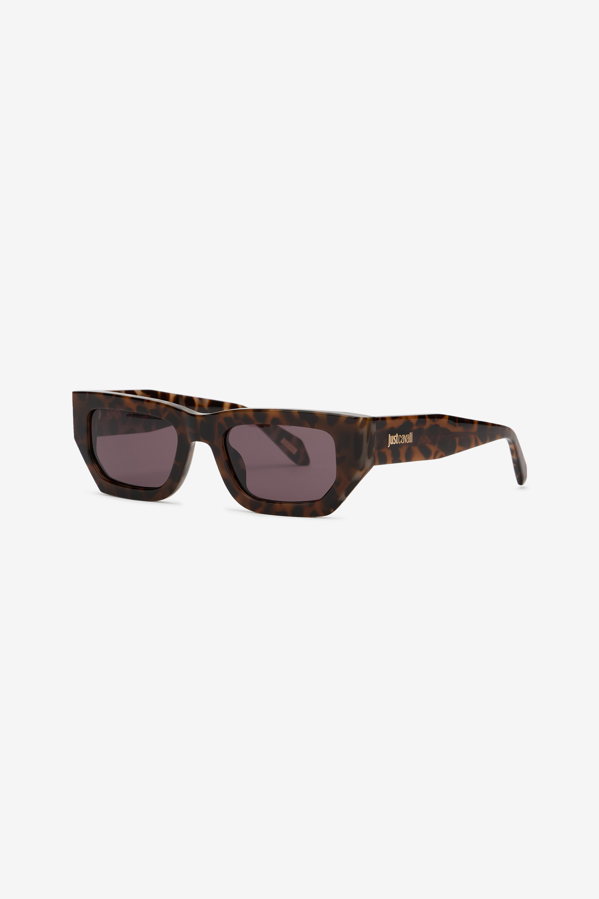 Roberto Cavalli Rectangular Frame In Black