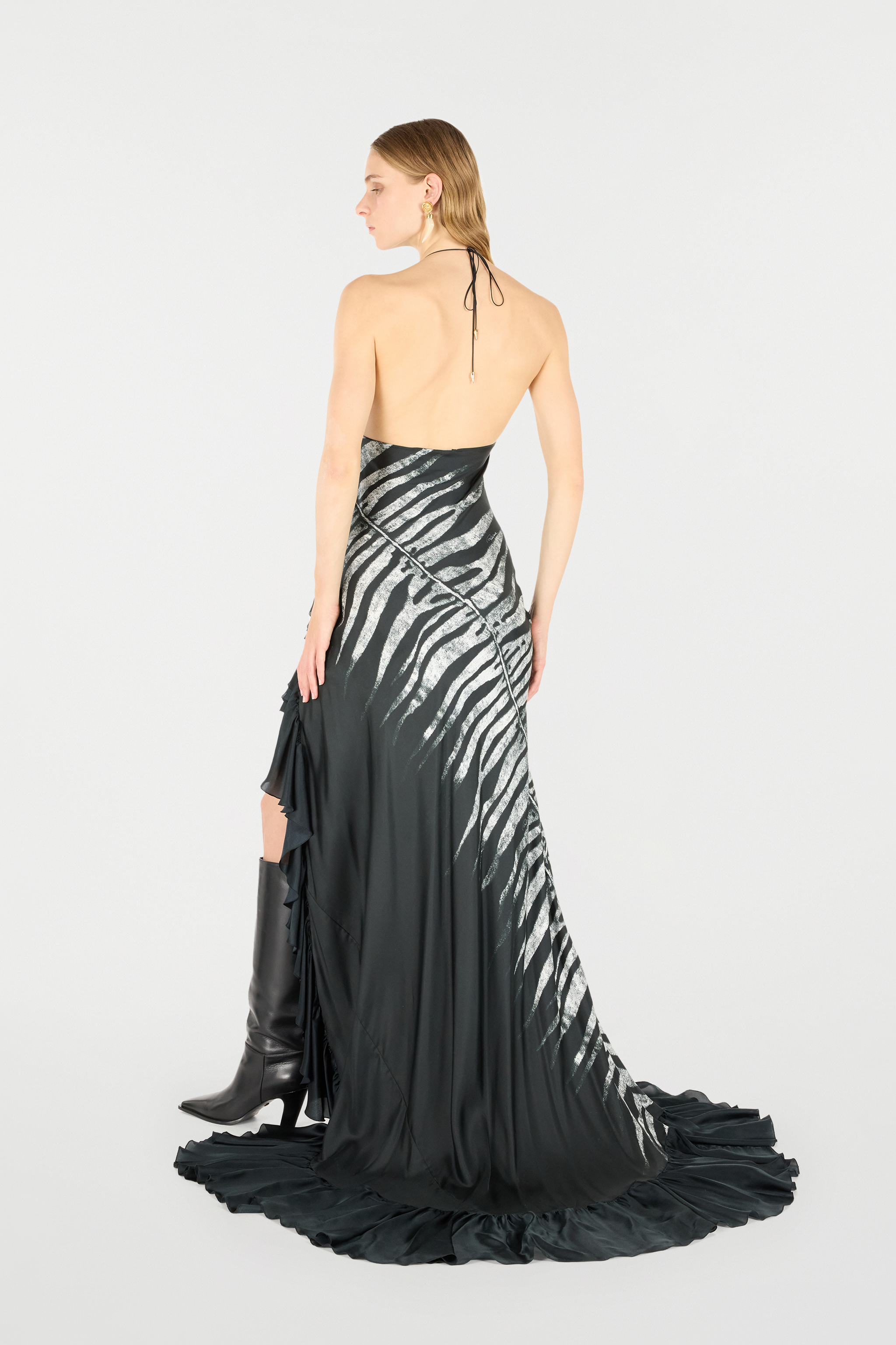 Roberto Cavalli Long Dress With Zebra Print In Black/white