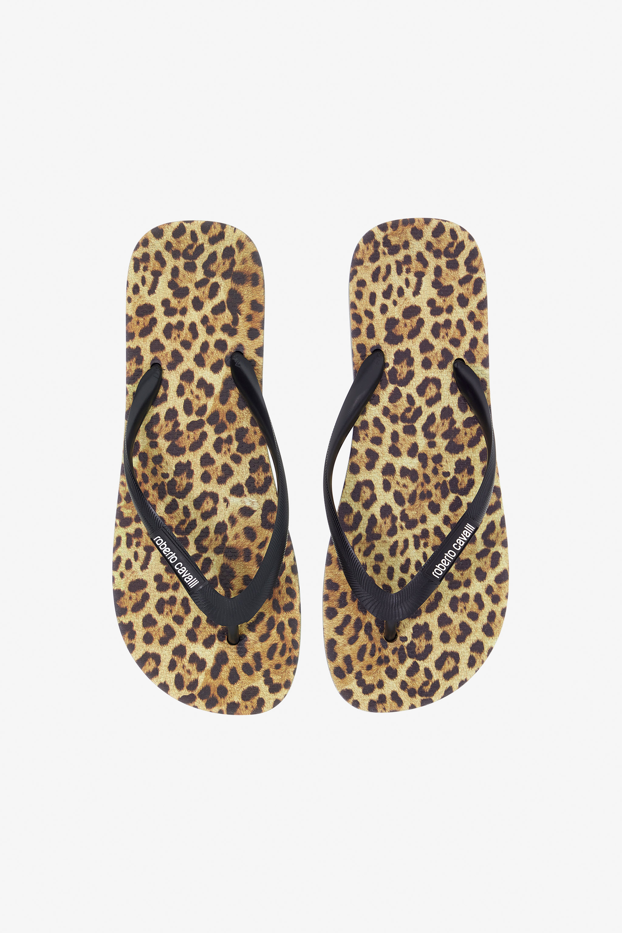 Roberto Cavalli Flip-flops With Logo In Brown