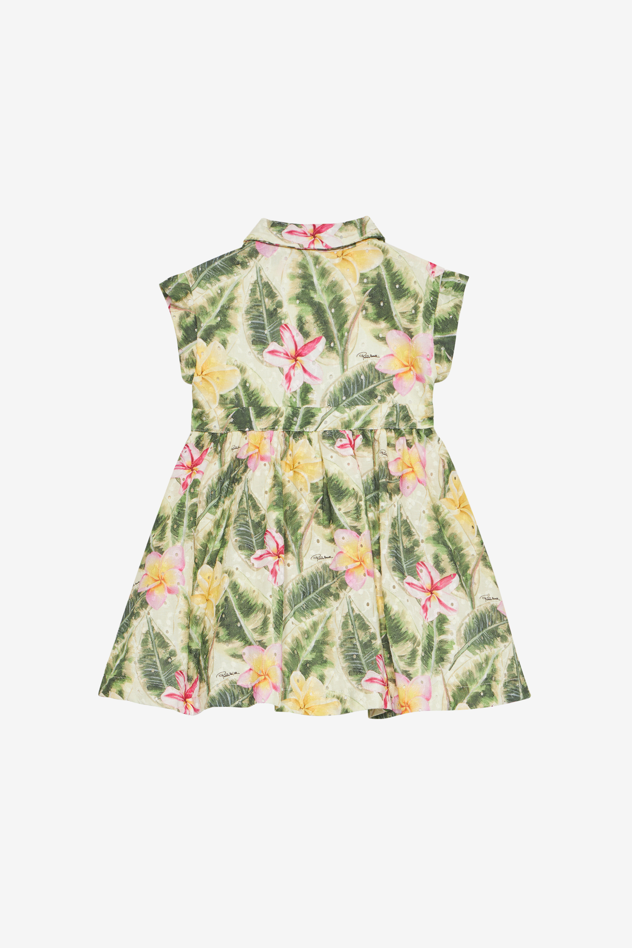  Roberto Cavalli Broderie Anglaise Dress With Leaf And Flower Print - Female Baby Girls (6m-3y) Light Green 09m 