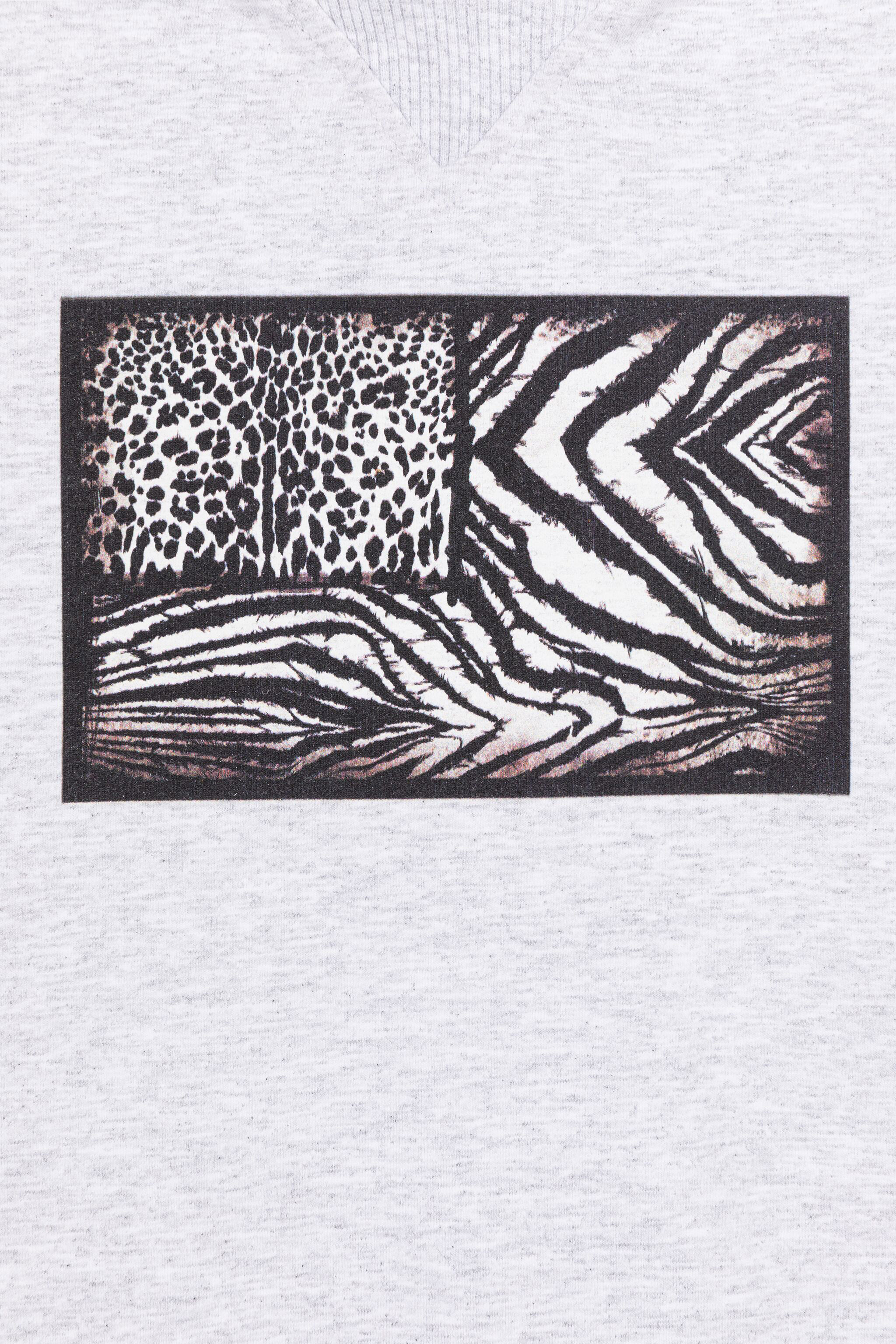 Roberto Cavalli Sweatshirt In Gray