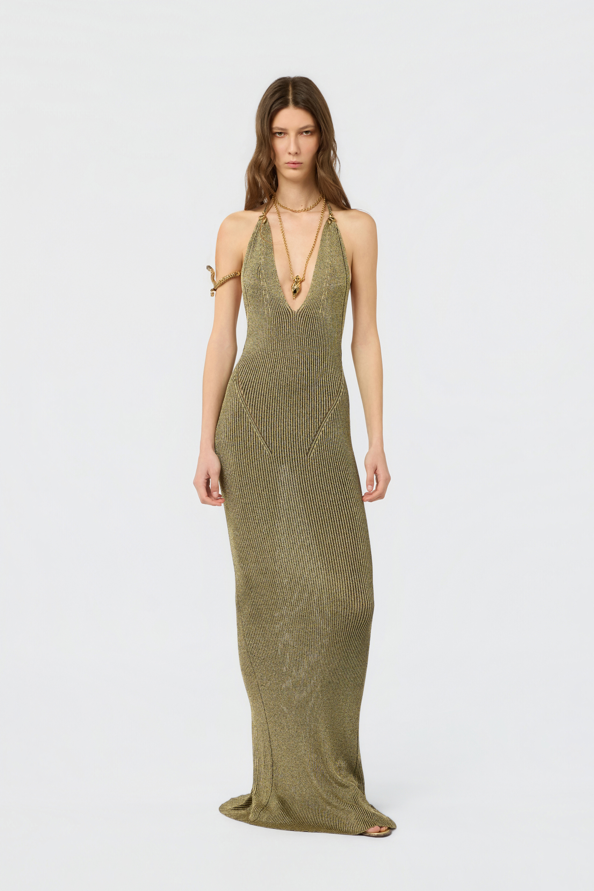 Roberto Cavalli Black And Gold Ribbed Maxi Dress With Snake Motif In Brown