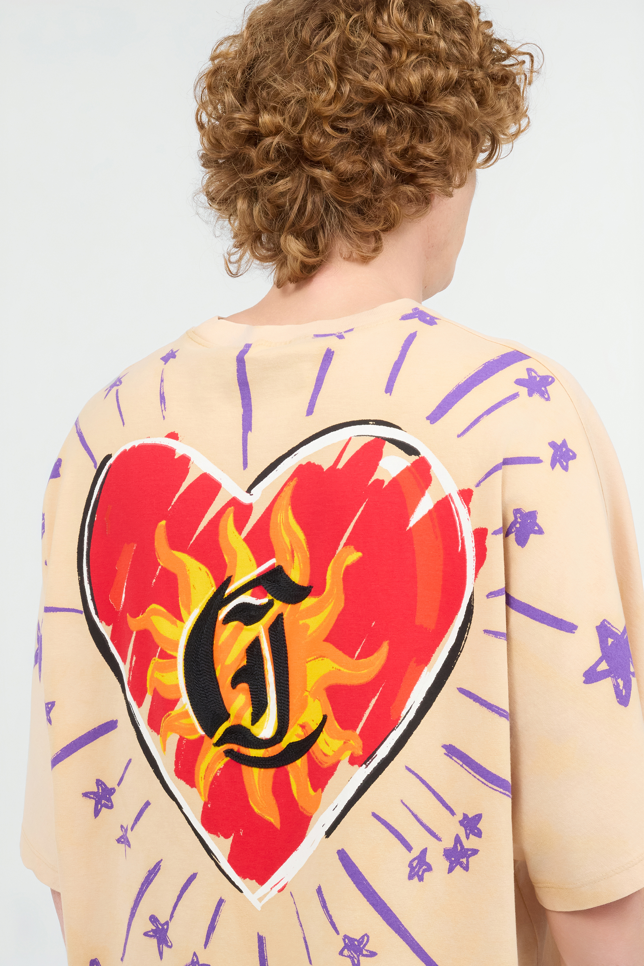 Roberto Cavalli T-shirt With Maxi Back Print In Light Brown