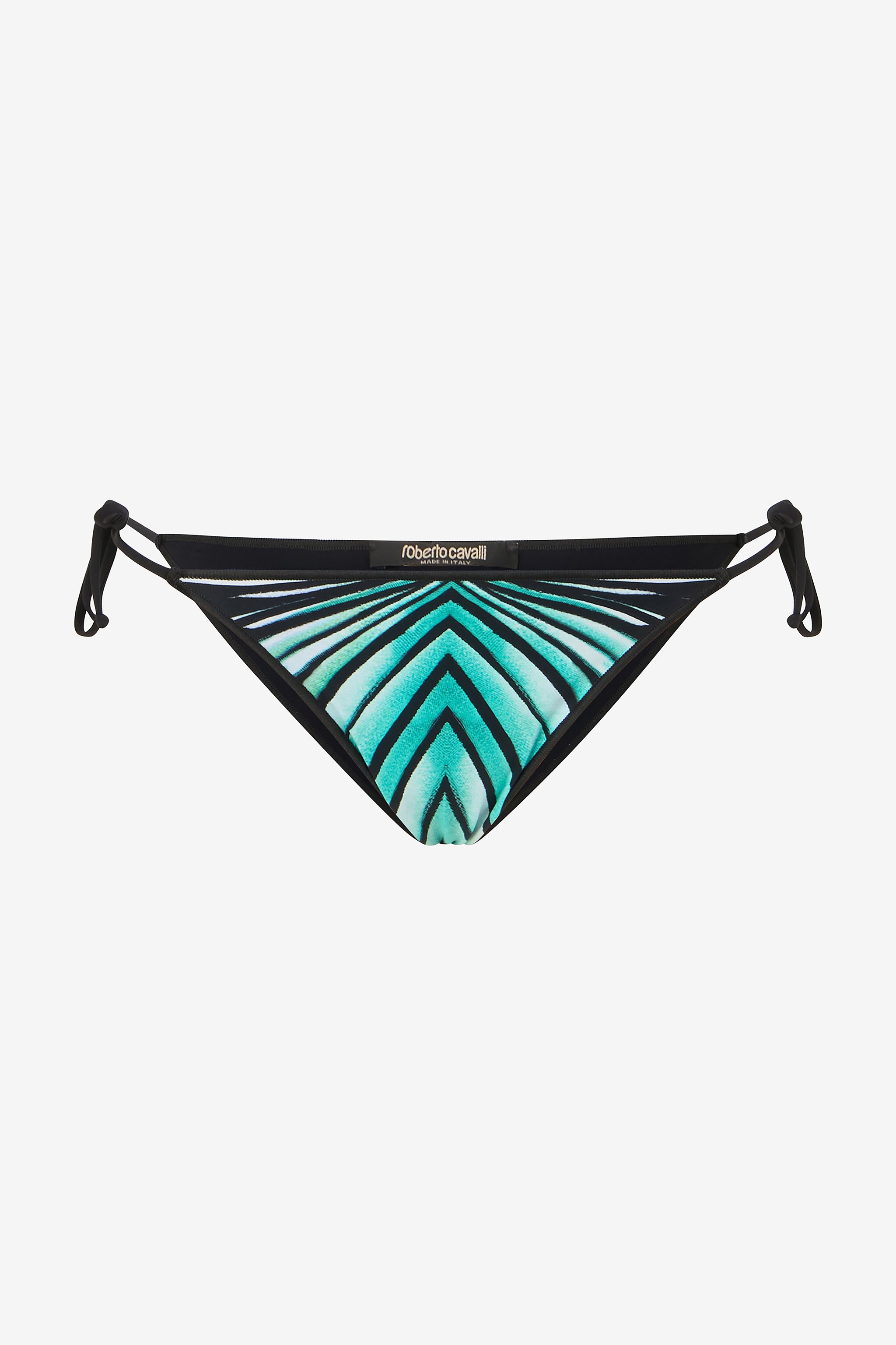 Roberto Cavalli Ray Of Sea Print Bikini Bottoms