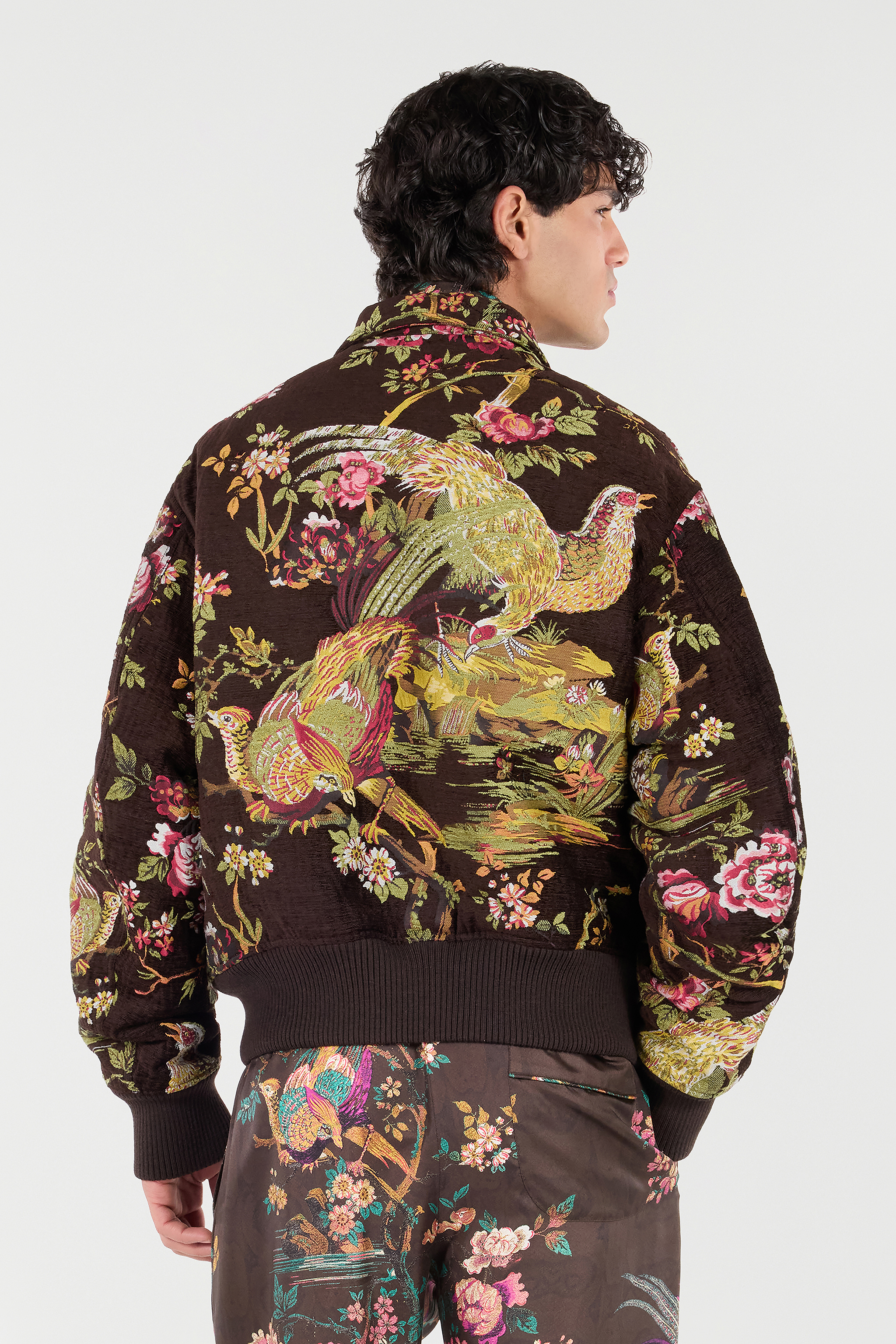 Roberto Cavalli Bomber Jacket With Natural Landscape In Brown