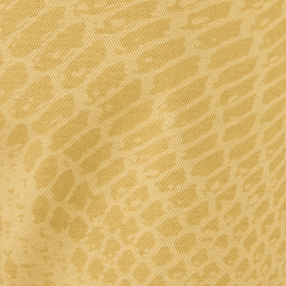 Roberto Cavalli Belted Shorts With Python Print In Kaki