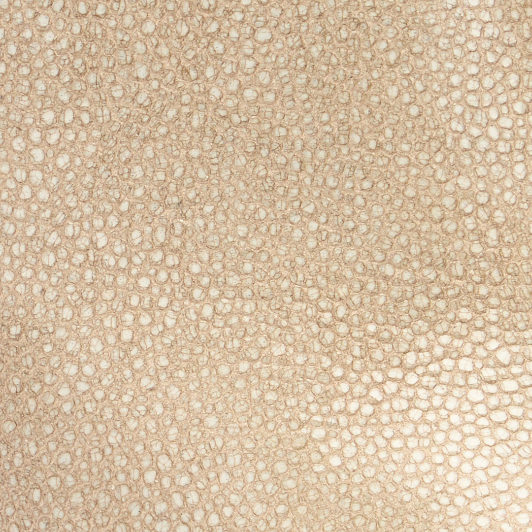 Roberto Cavalli Spitze Mules Mit Glitter In Ivory