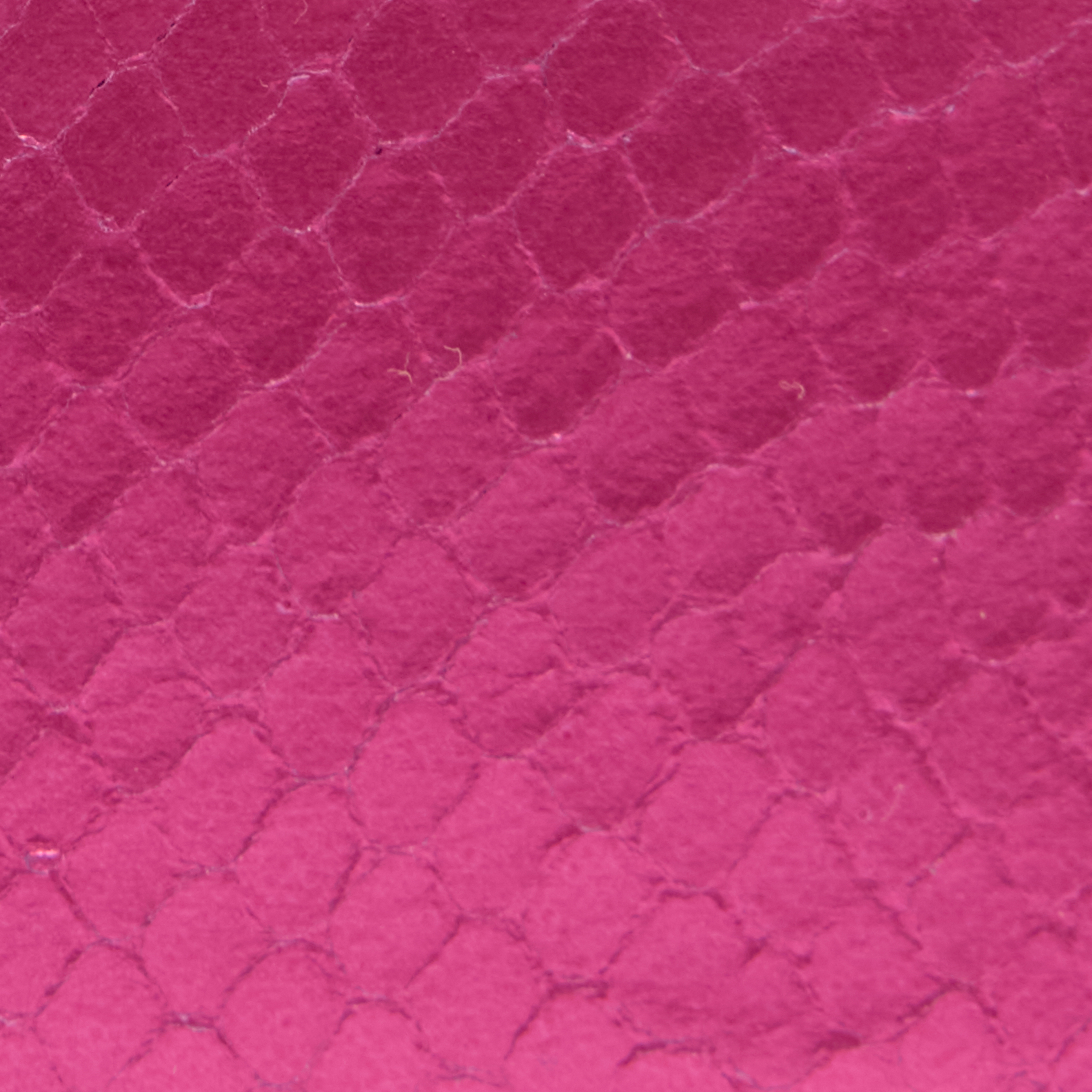 Shop Roberto Cavalli Coin Purse With Snake Print In Fuchsia