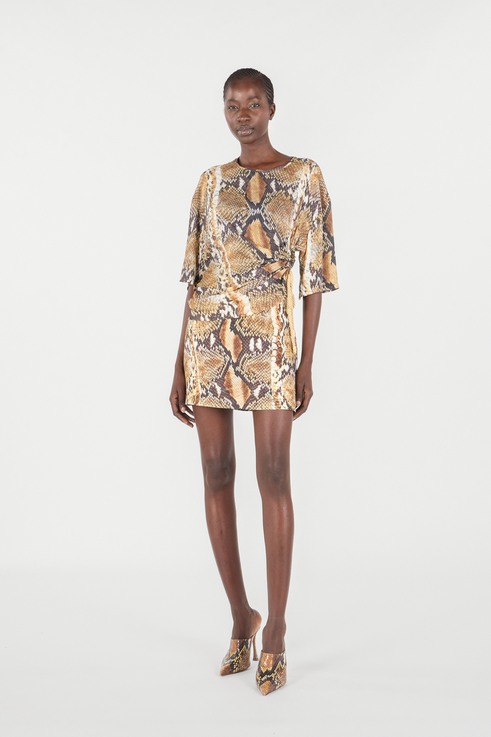 Roberto Cavalli Snakeskin-print T-shirt In Brown