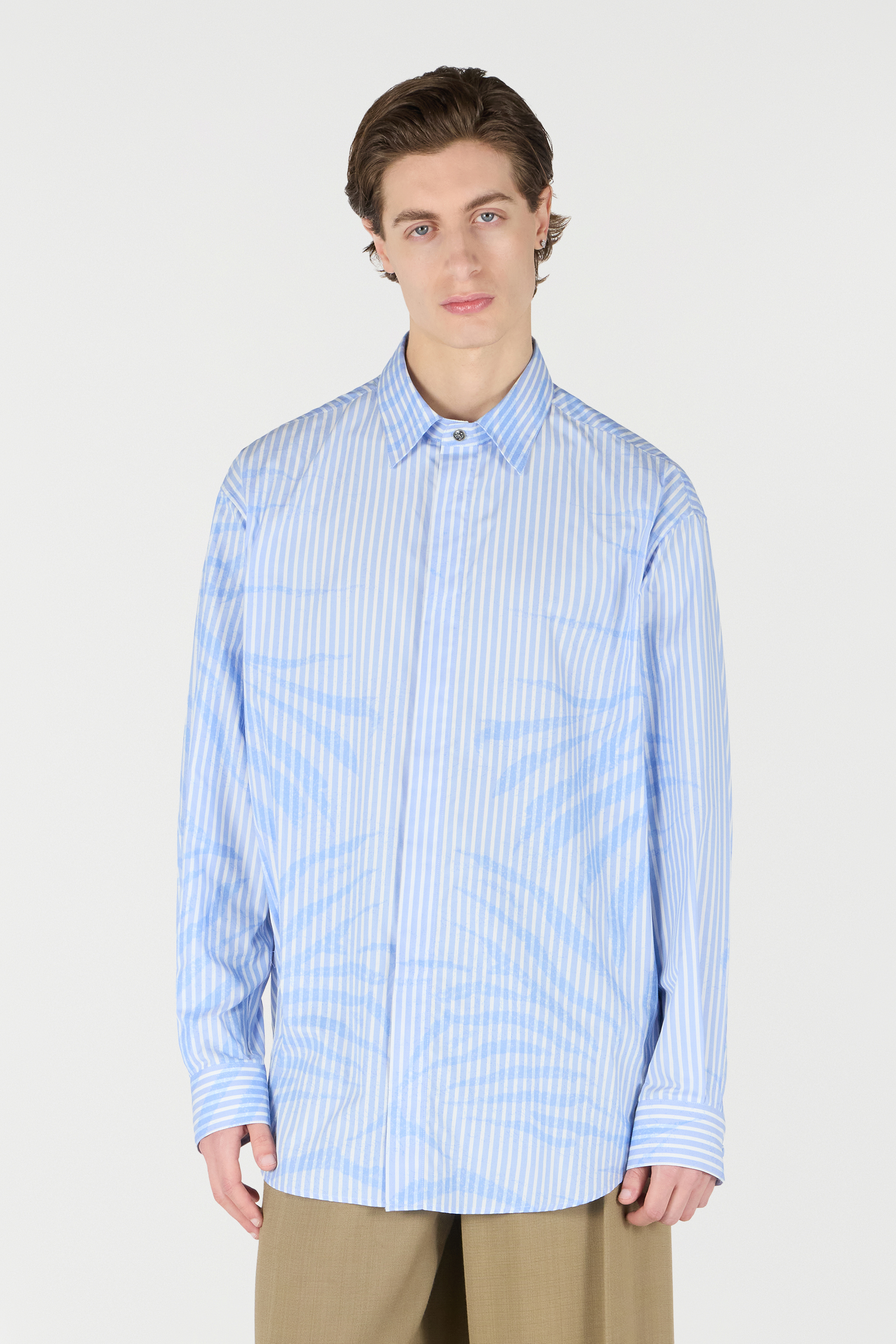 Roberto Cavalli Striped Shirt With Zebra Pattern In Light Blue