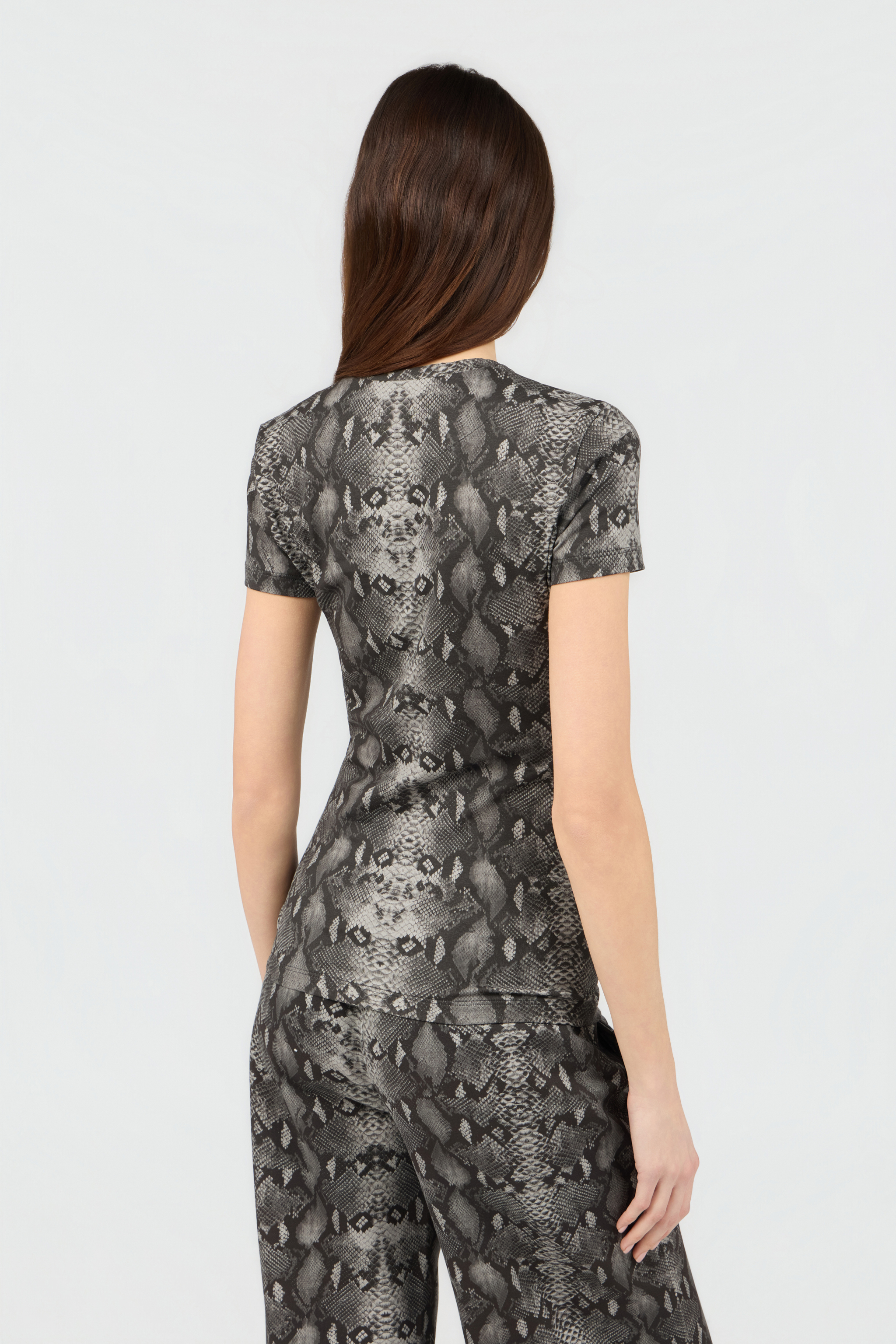 Roberto Cavalli Python Print T-shirt In Multi