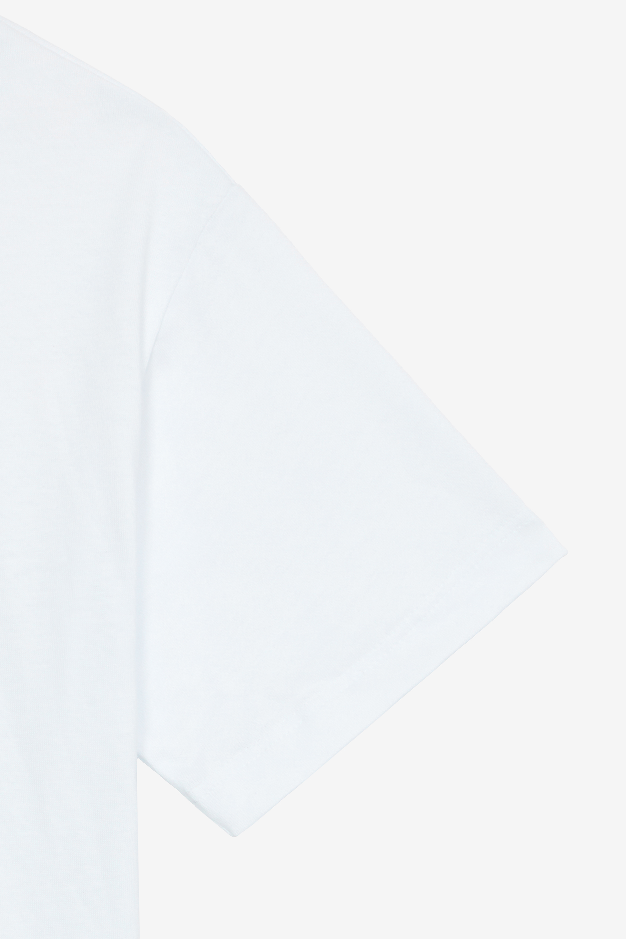 Zebra-Print T-Shirt With RC Monogram And Logo