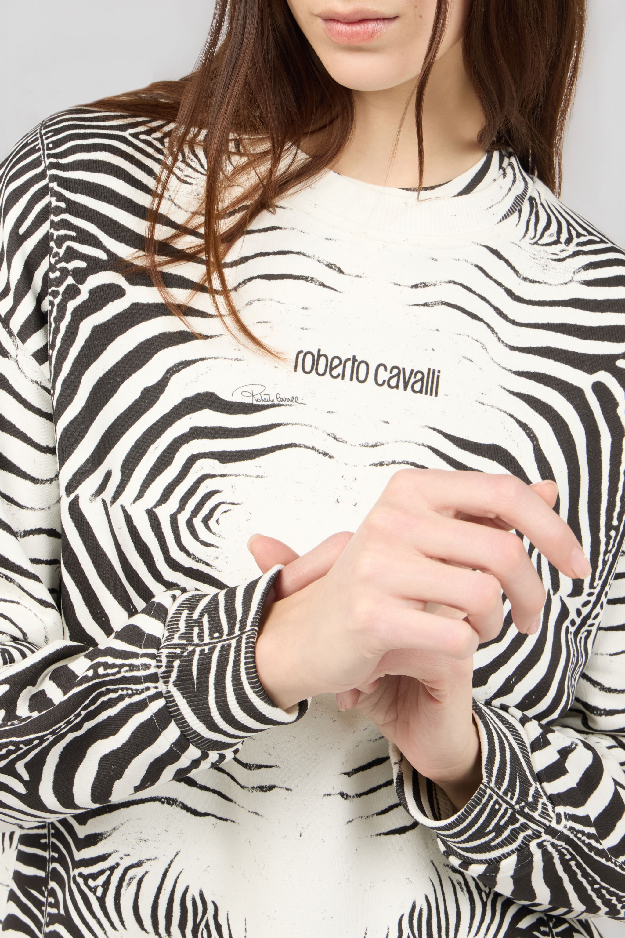 Roberto Cavalli Zebra Print Sweatshirt In Multi