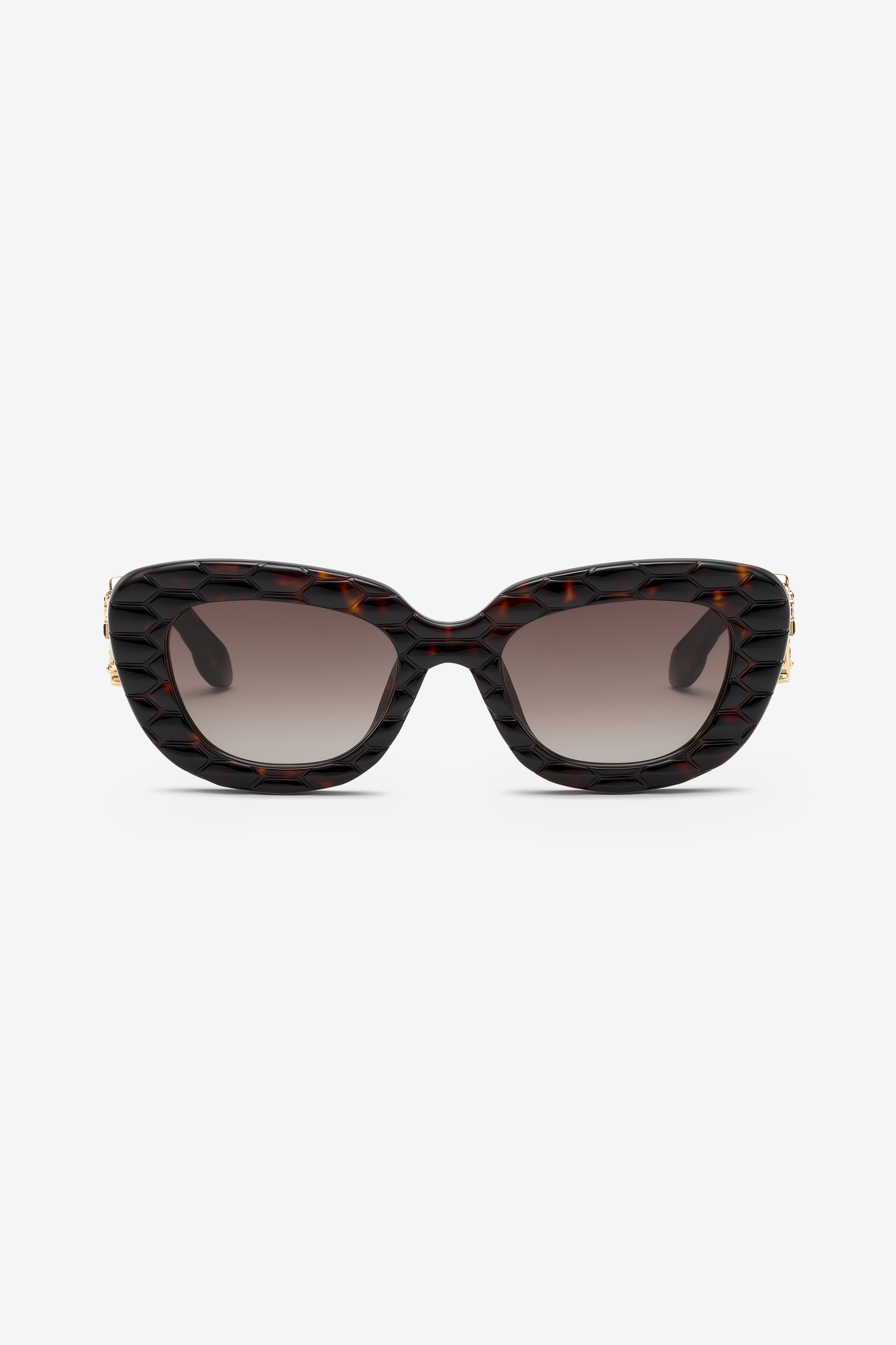 Roberto Cavalli Women's Brown/Yellow Sunglasses With Wide Bold Cat-Eye Front - Shiny H