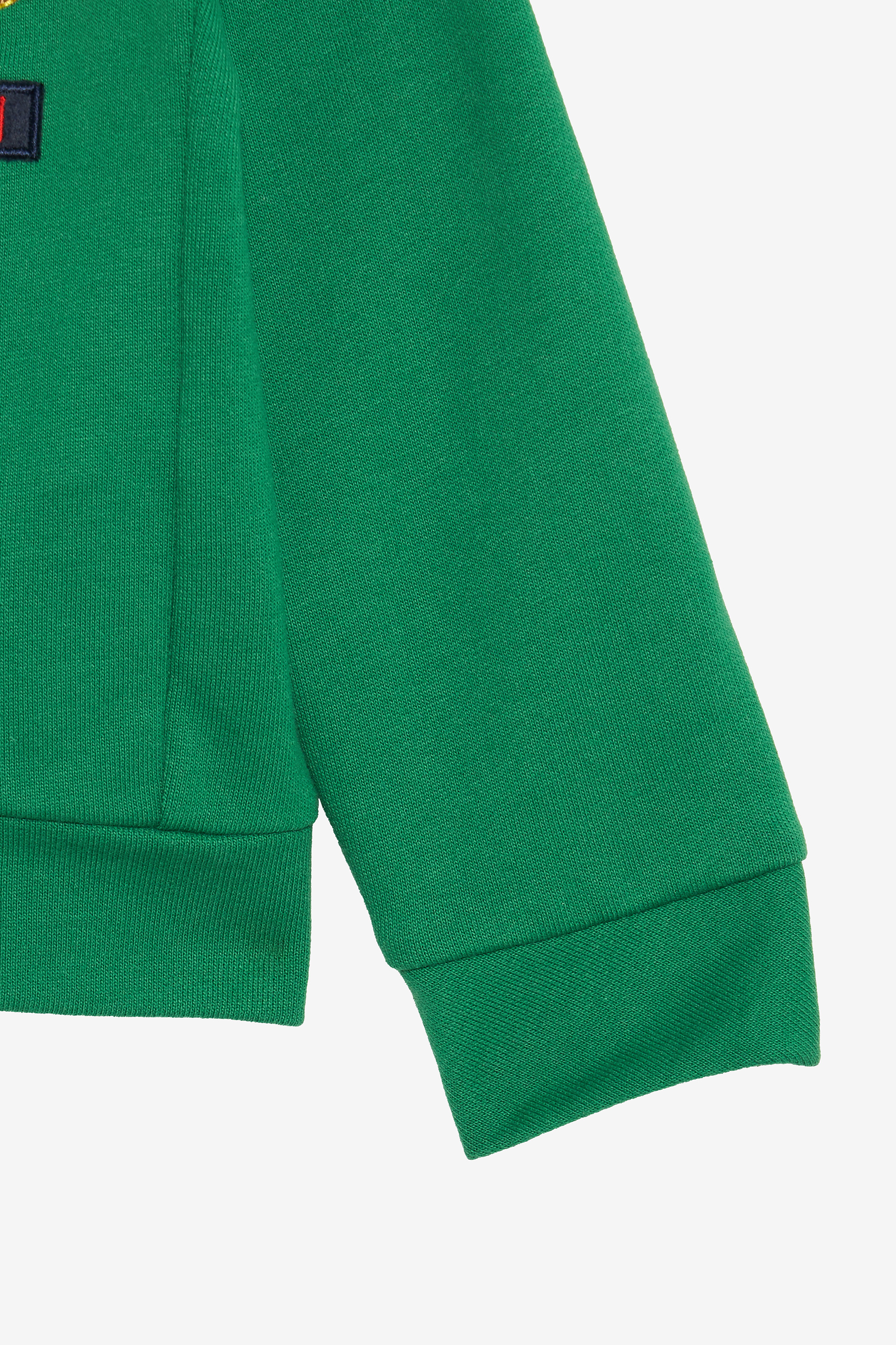 Roberto Cavalli Green Hoodie With Rc Monogram In Green