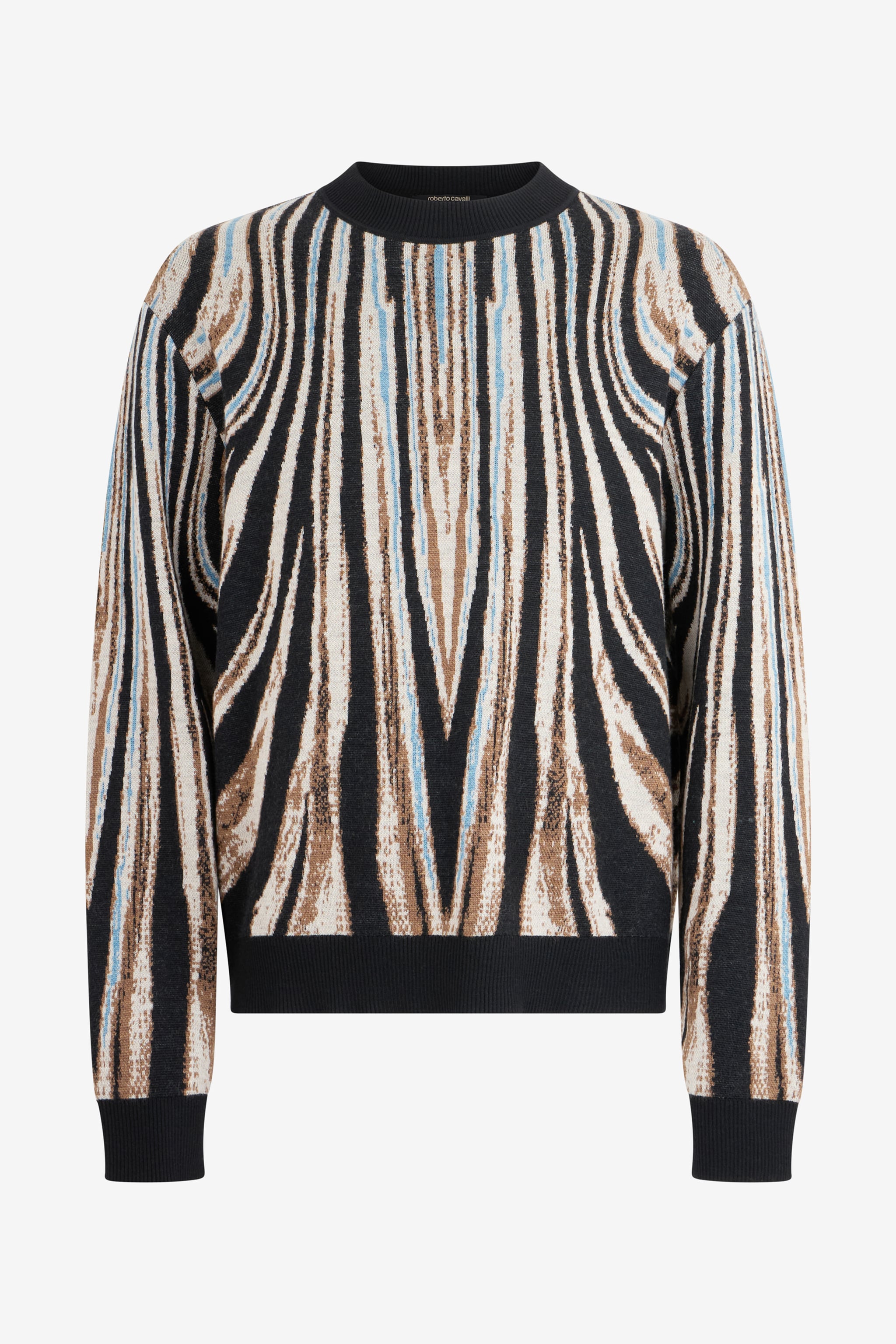Roberto Cavalli Sweater With Zebra Print