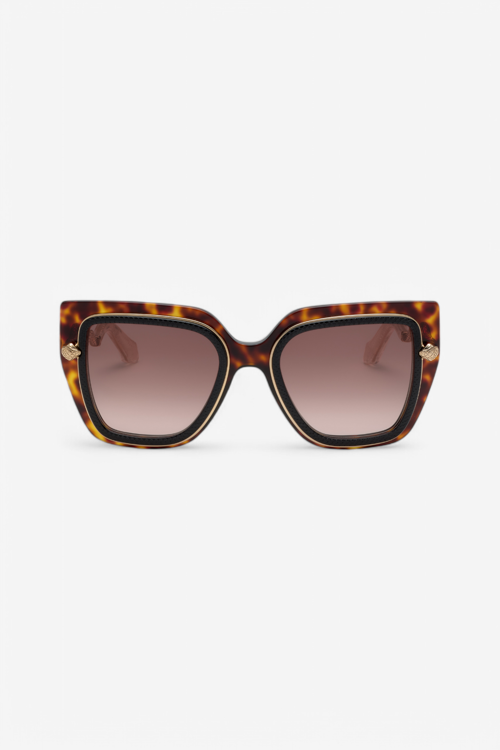 Roberto Cavalli Women's Black Wide And Feminine Front Sunglasses With Double Ring Decoration - Eyewear Top+Havana