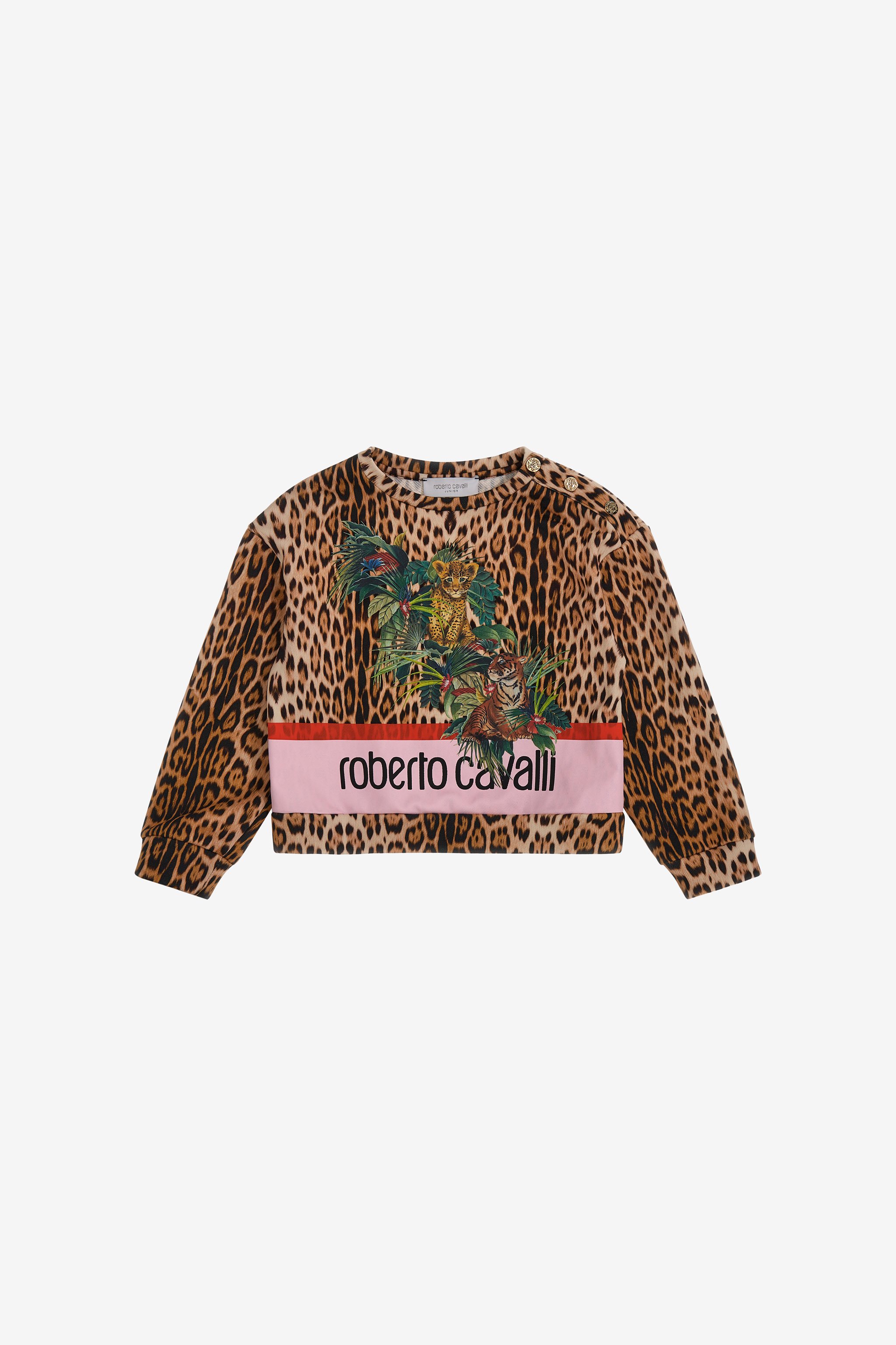 Roberto Cavalli Printed Sweatshirt In Light Brown