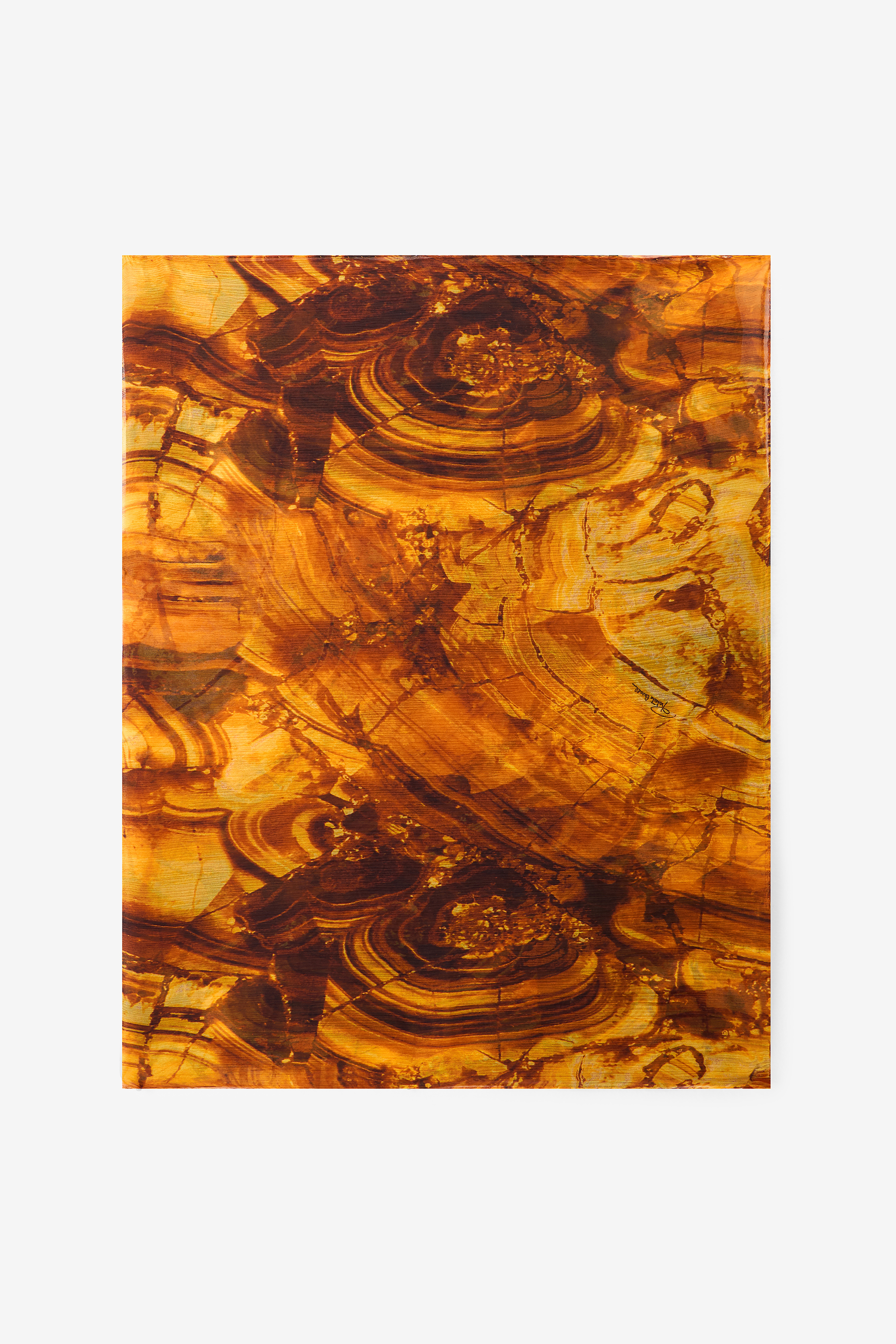 Roberto Cavalli Women's Amber Stole With Print - Scarves & Silks Ambra/Nero