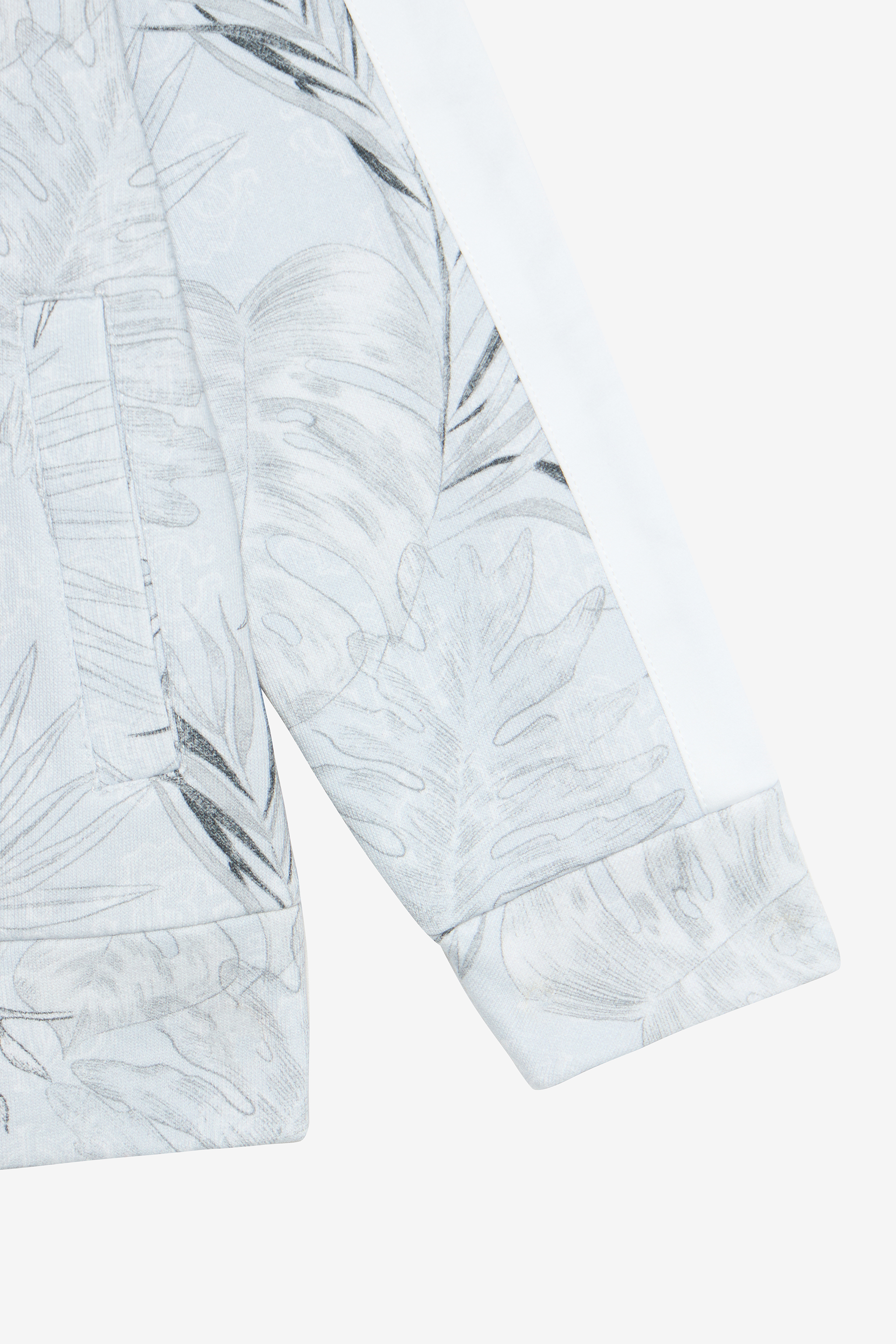 Roberto Cavalli Grey Sweatshirt With Foliage Print In Blue
