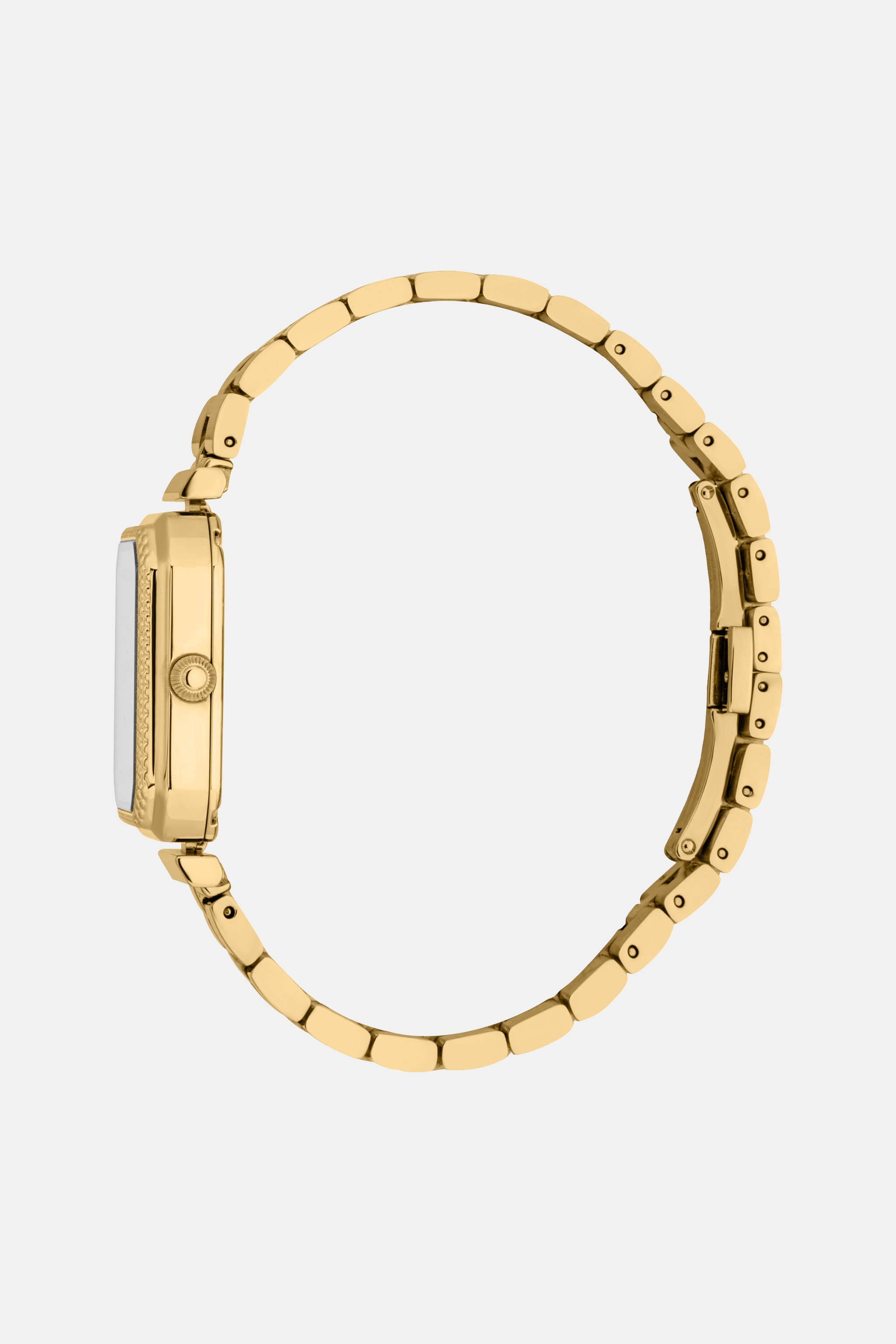 Roberto Cavalli by Franck Muller Logo watch