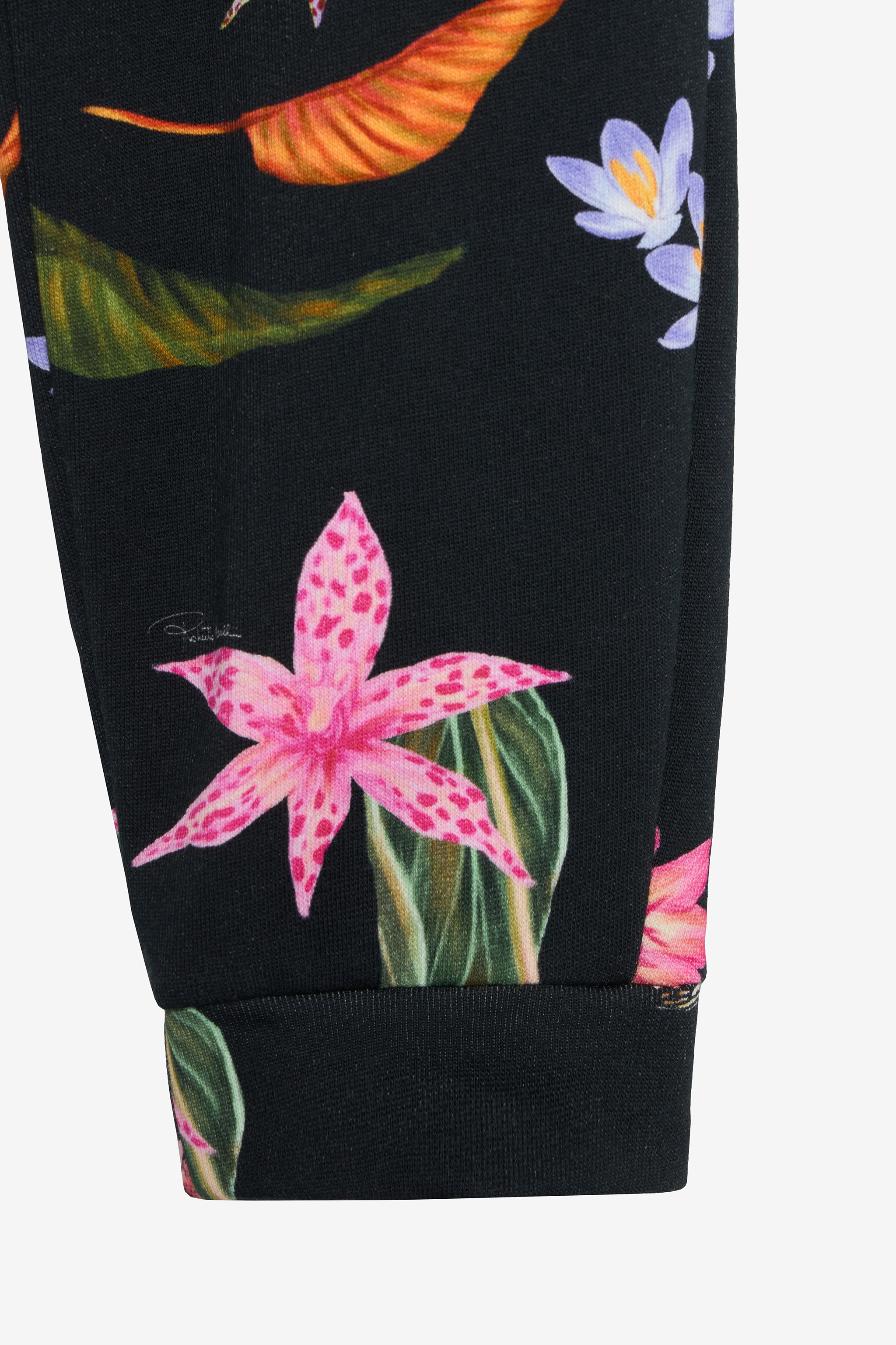 Roberto Cavalli Black Track Pants With Tropical Print In Multi