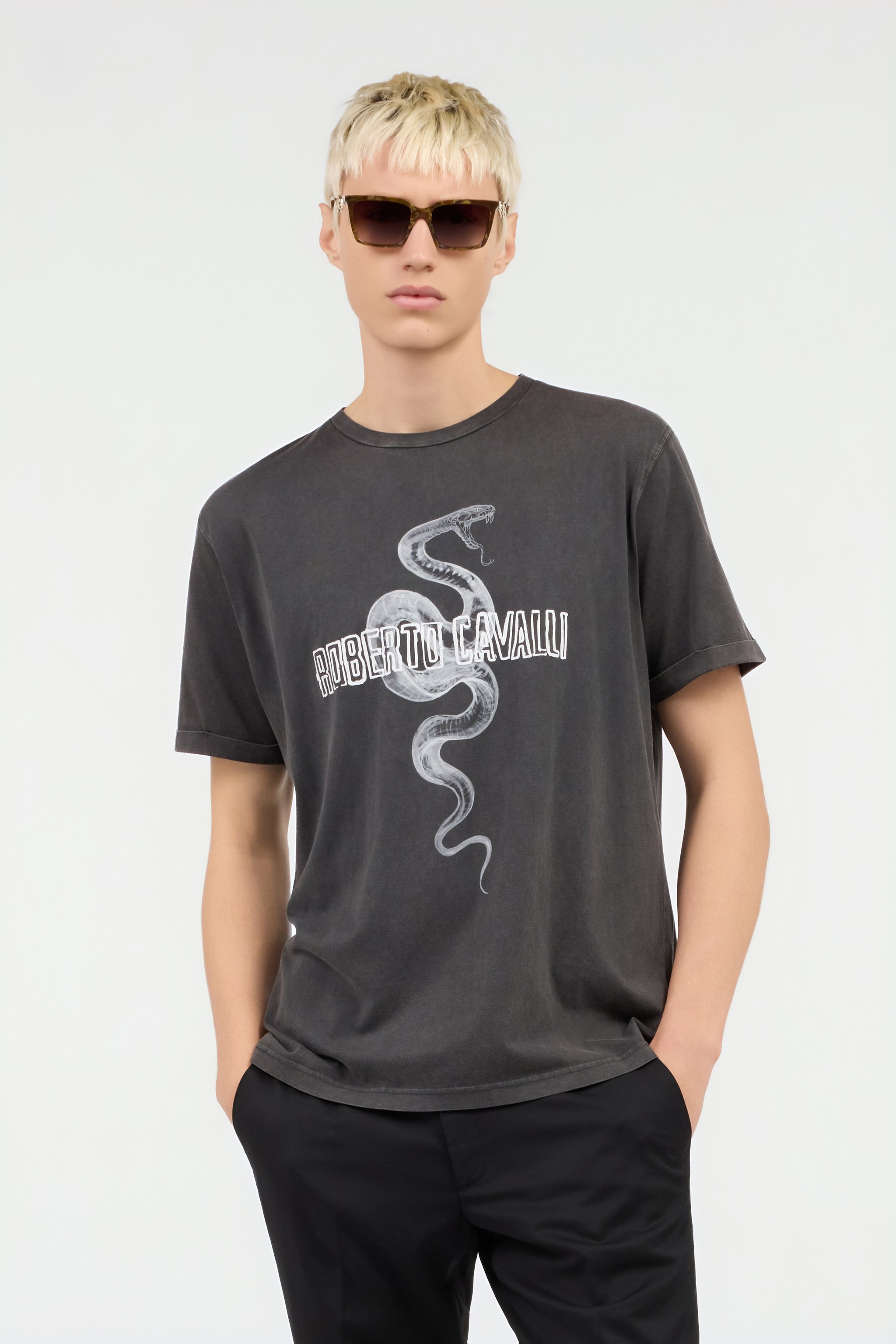 Grey T-Shirt With Snake Logo Print