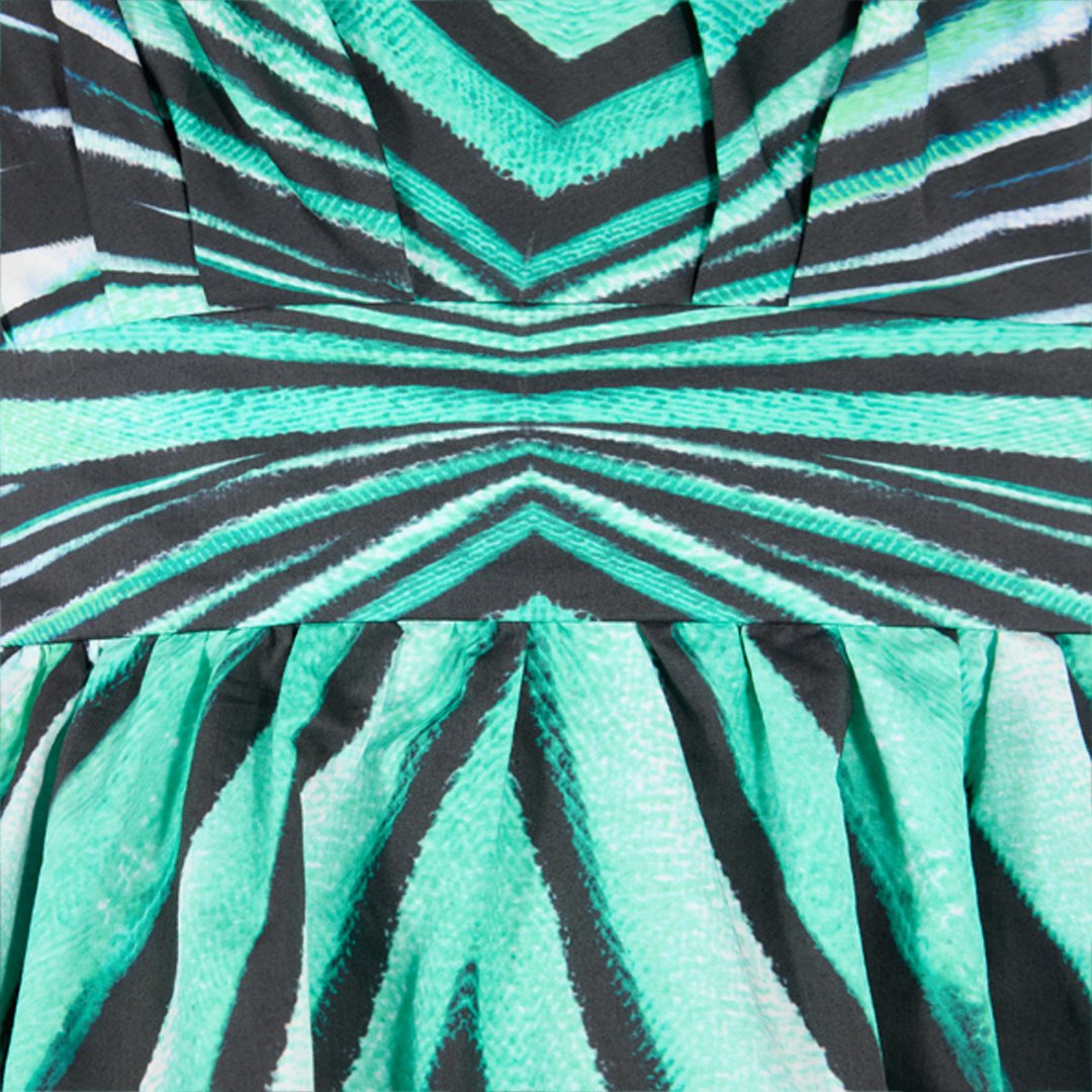 Roberto Cavalli Ray Of Sea Print Dress