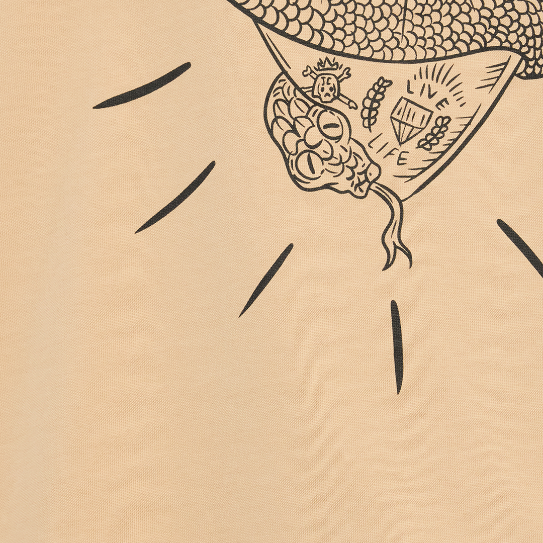 Roberto Cavalli Beige Graphic Print T-shirt In Nude