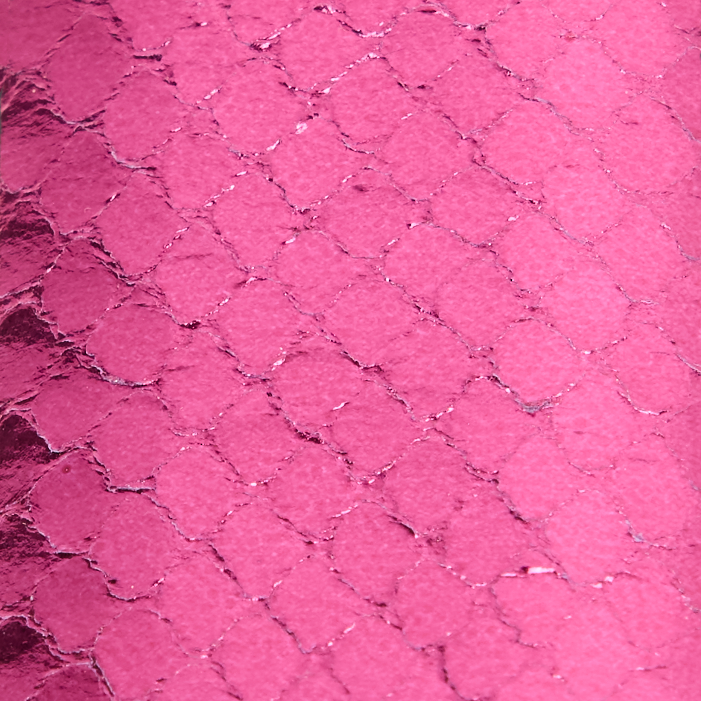 Roberto Cavalli Belt With Snake Print And Jewel Tiger Detail In Fuchsia