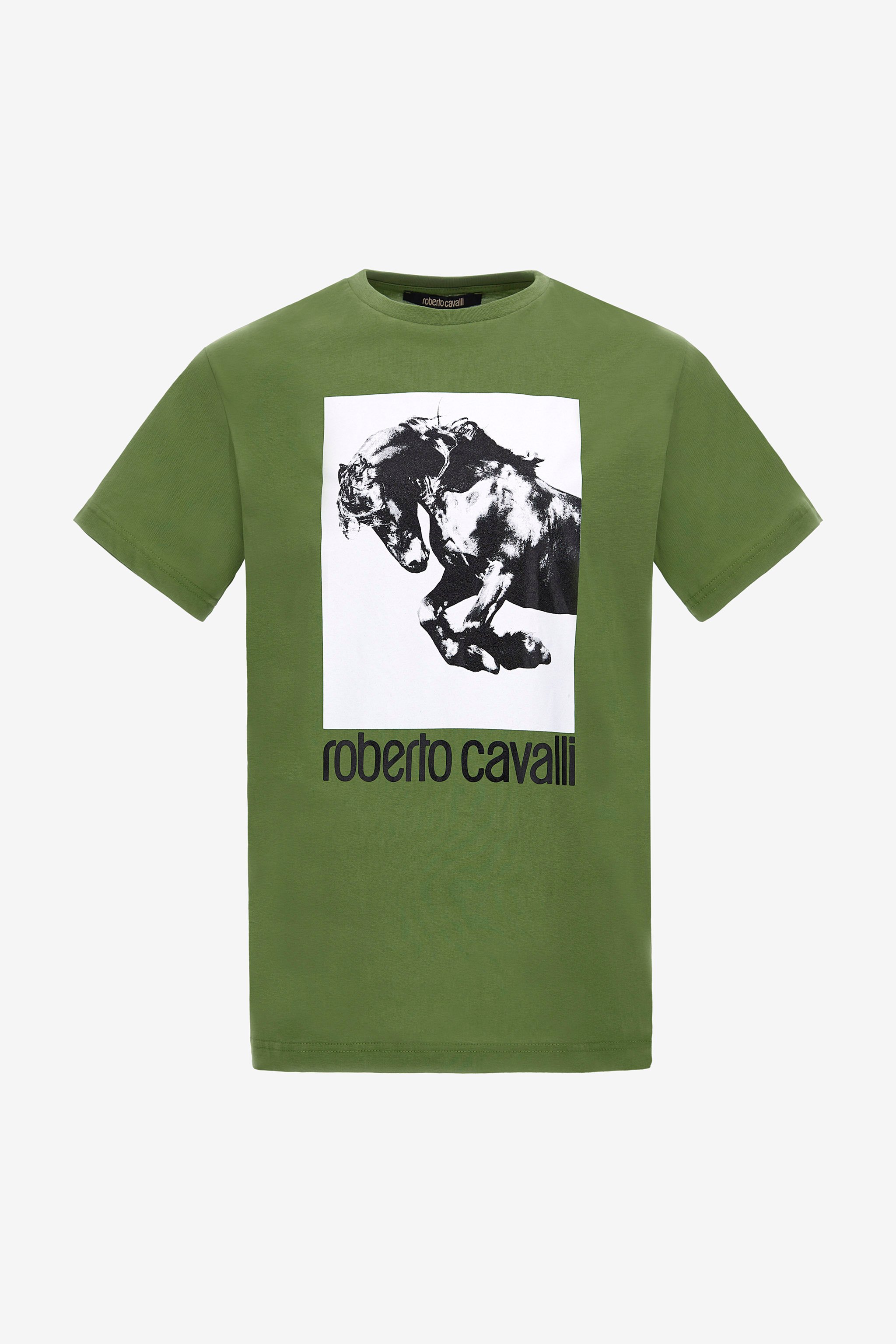 Roberto Cavalli T-shirt With Horse Logo And Print In Green