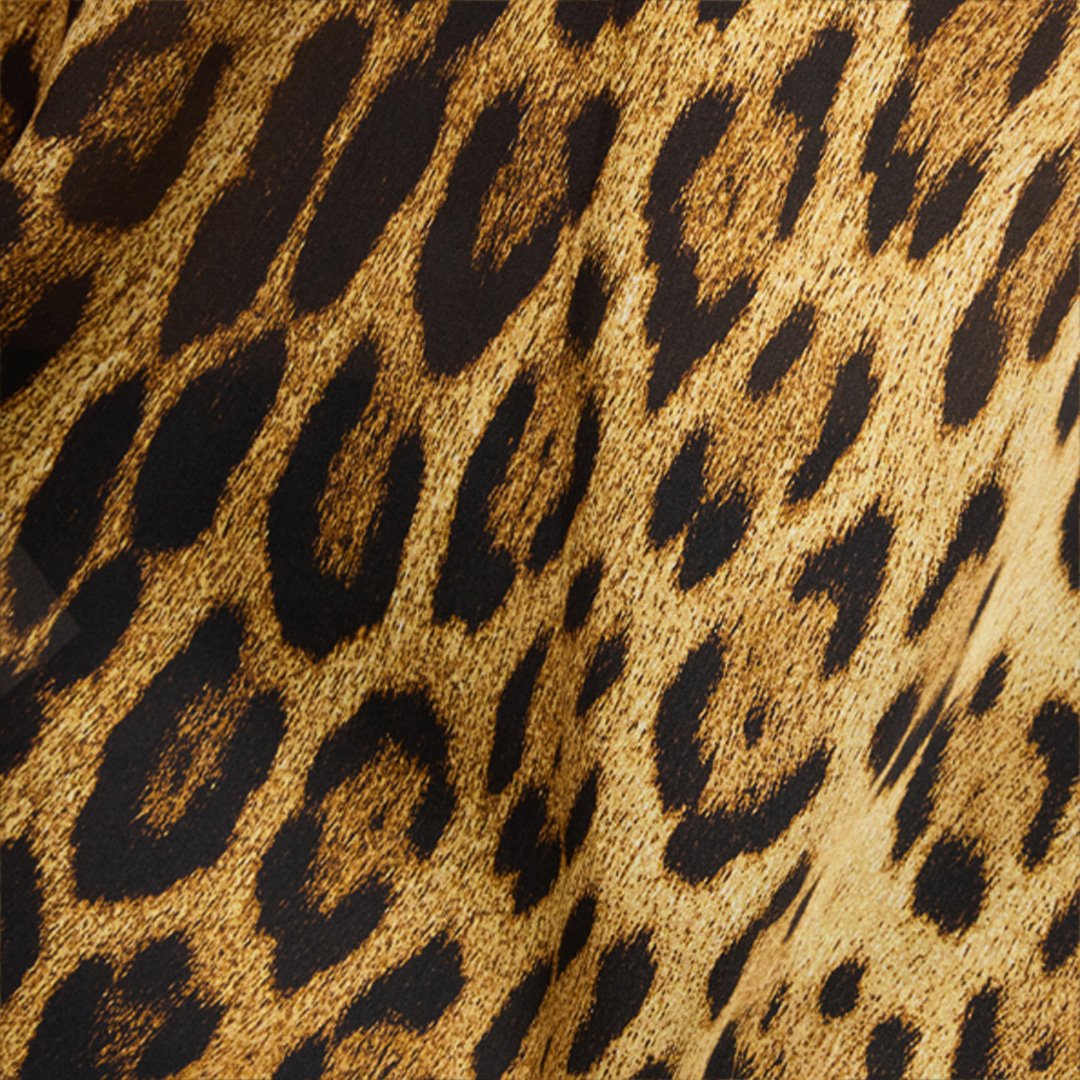 Roberto Cavalli Leopard Print Lace Slip Dress