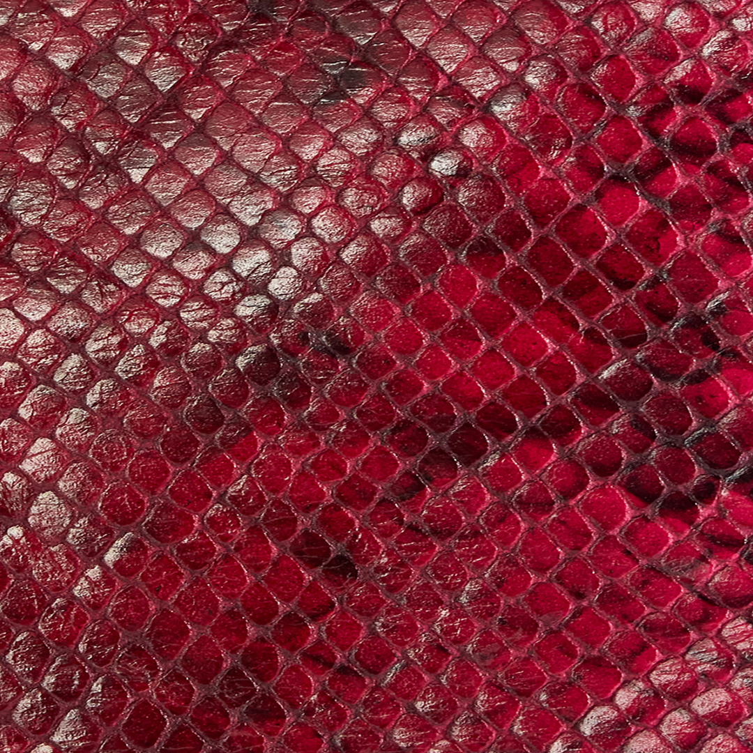 Roberto Cavalli Shiny Python-print Jacket In Fuchsia
