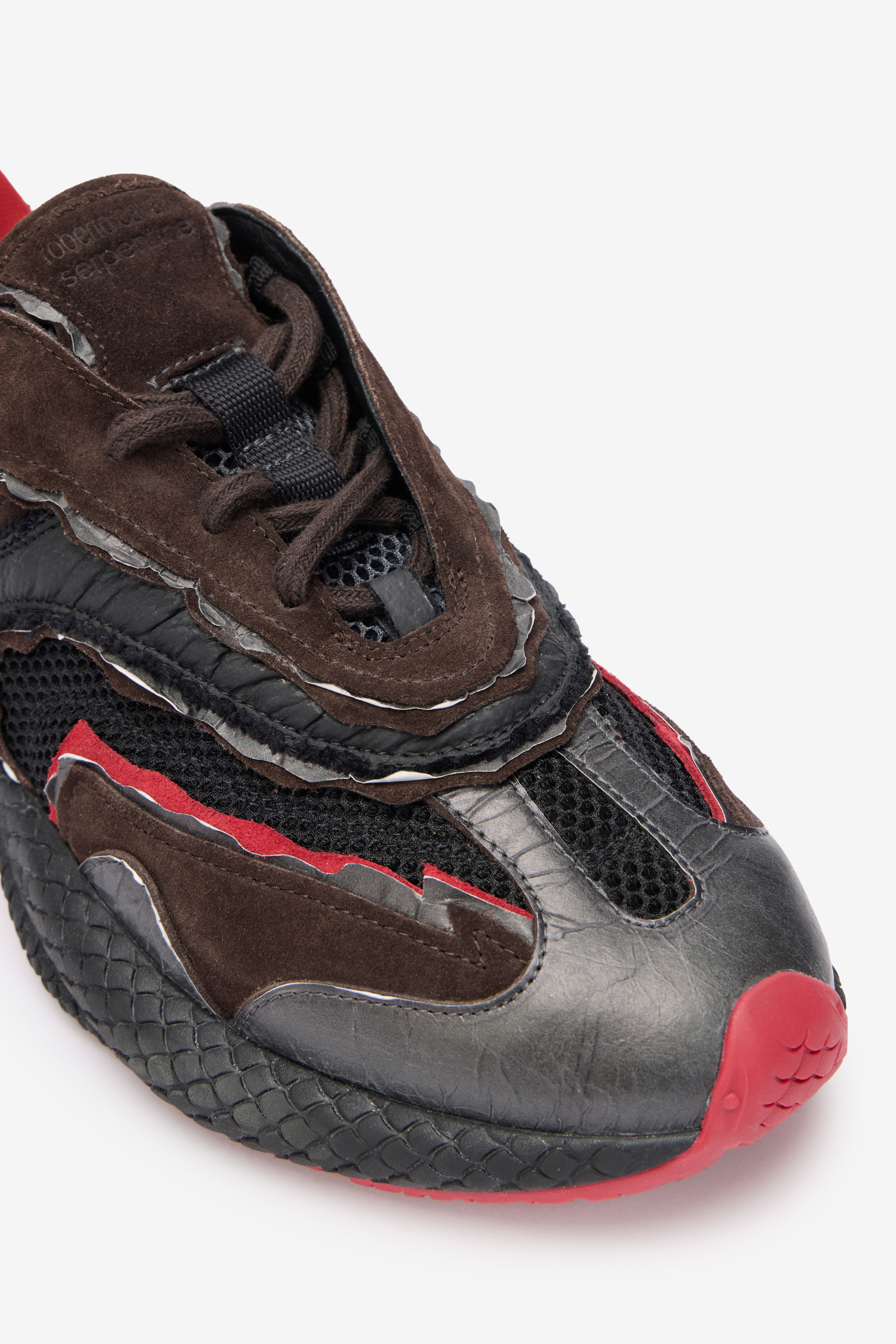 Roberto Cavalli Serpentine Sneaker In Black