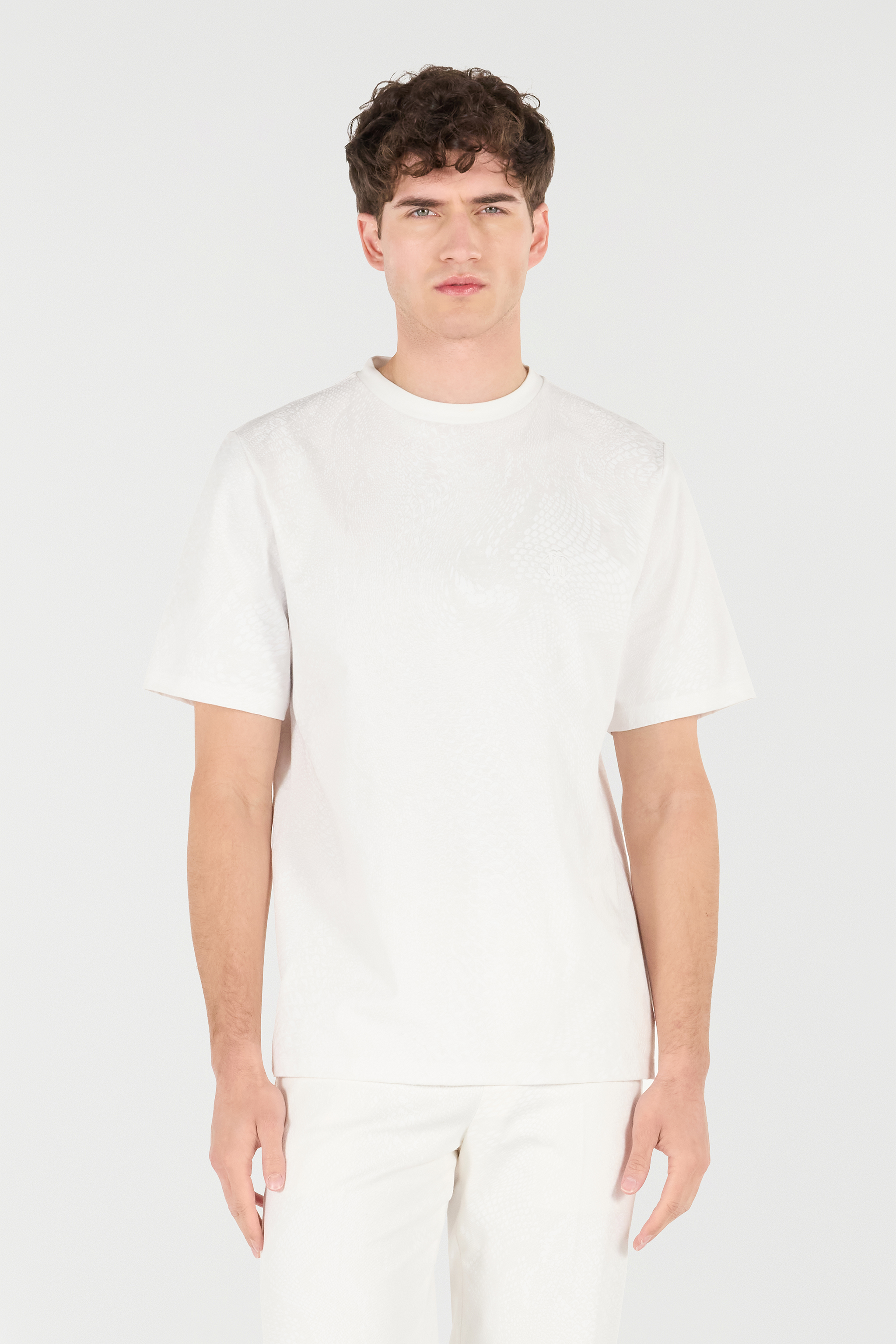 Roberto Cavalli Snake Scale-print T-shirt In Ivory