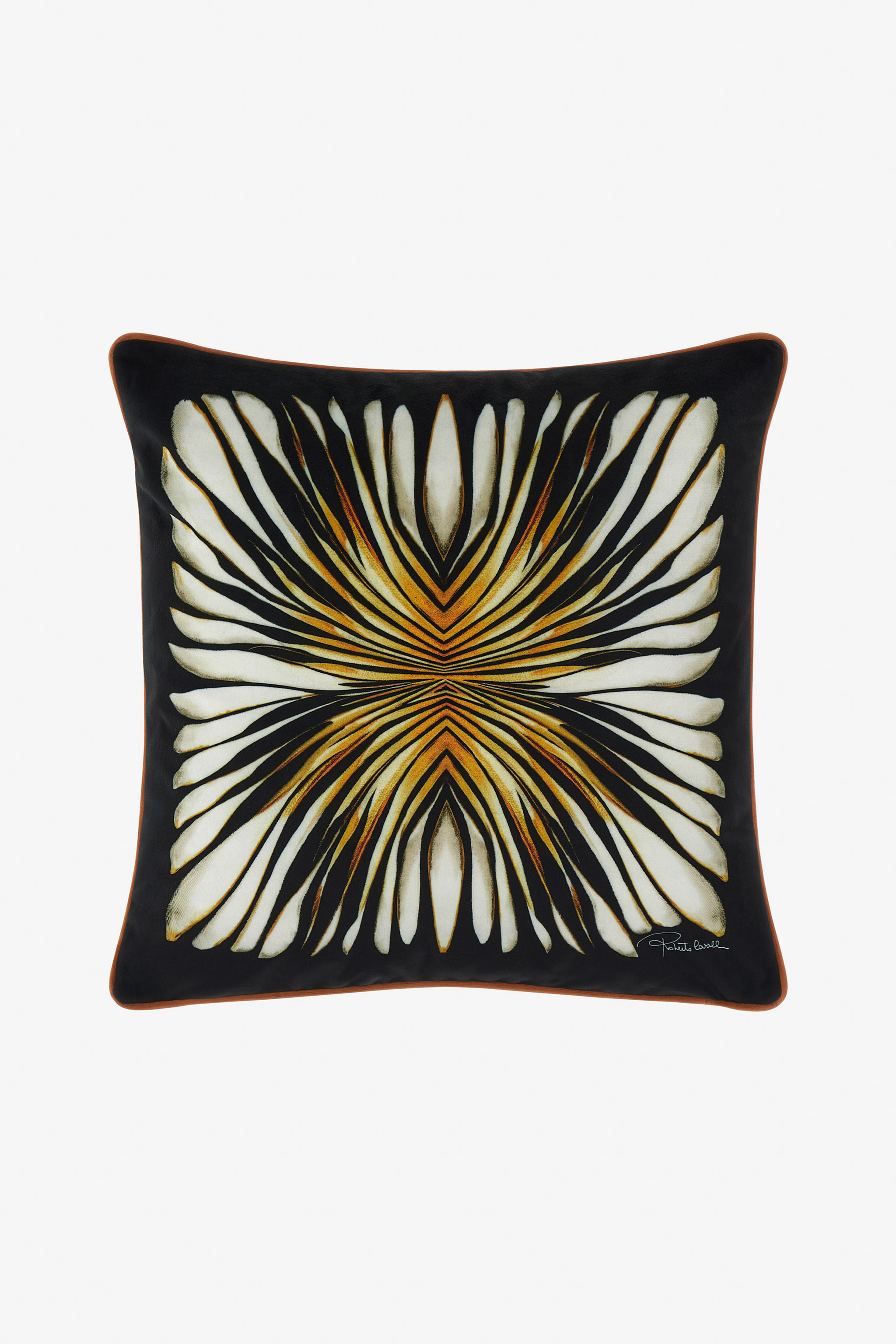 Cushion with Ray Of Gold Print