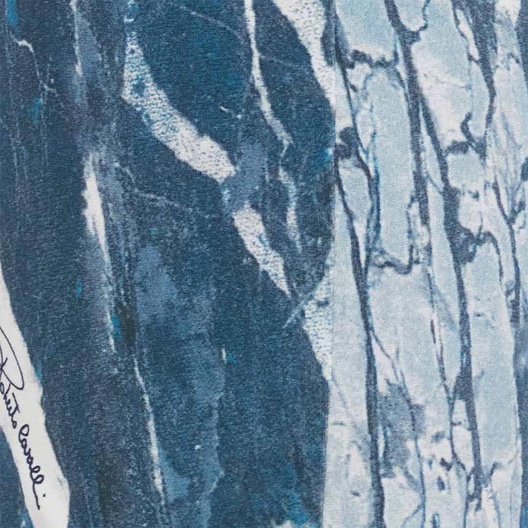Roberto Cavalli Rubane Print Jumpsuit In Blue