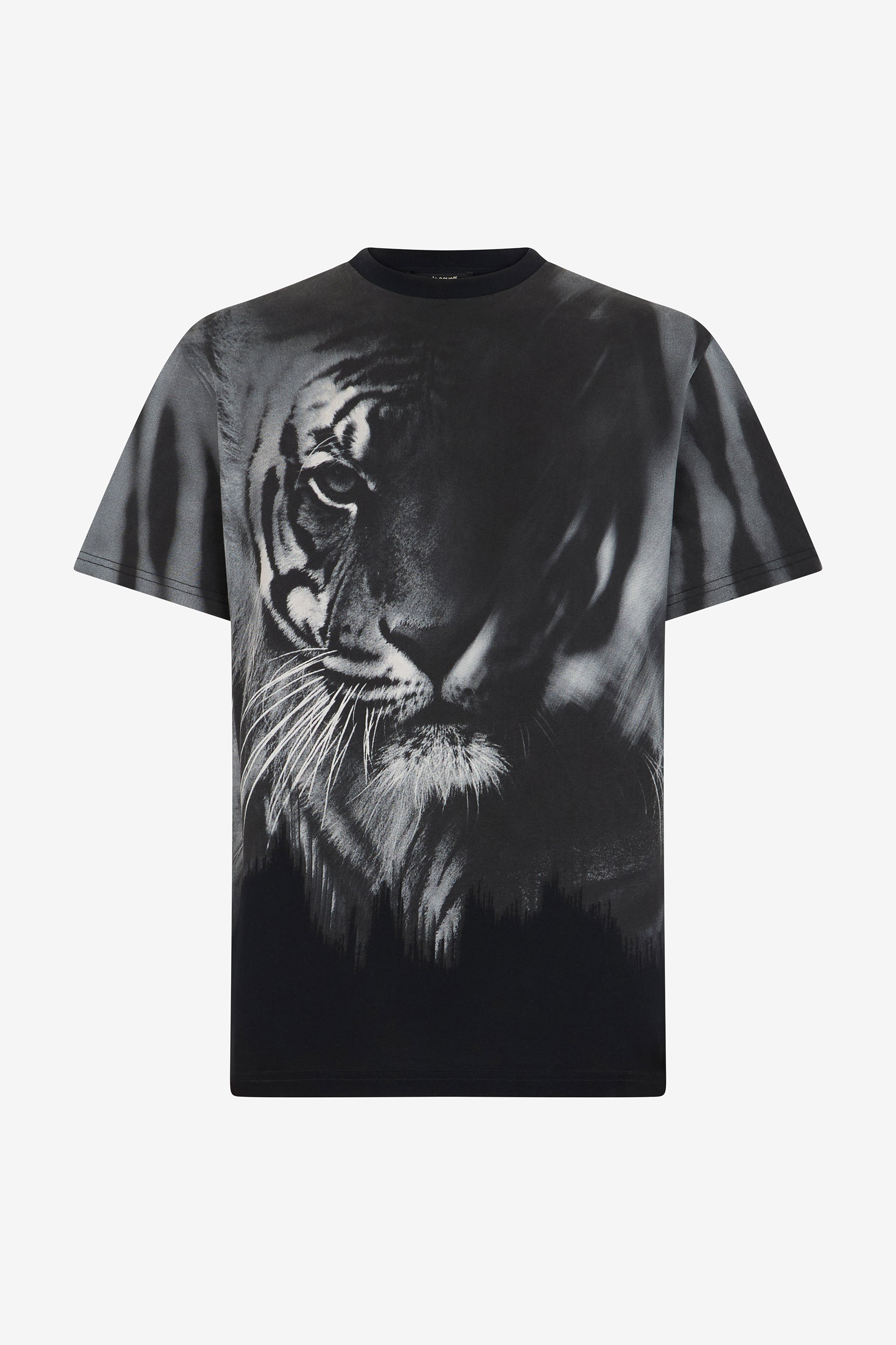 Tiger print T-shirt