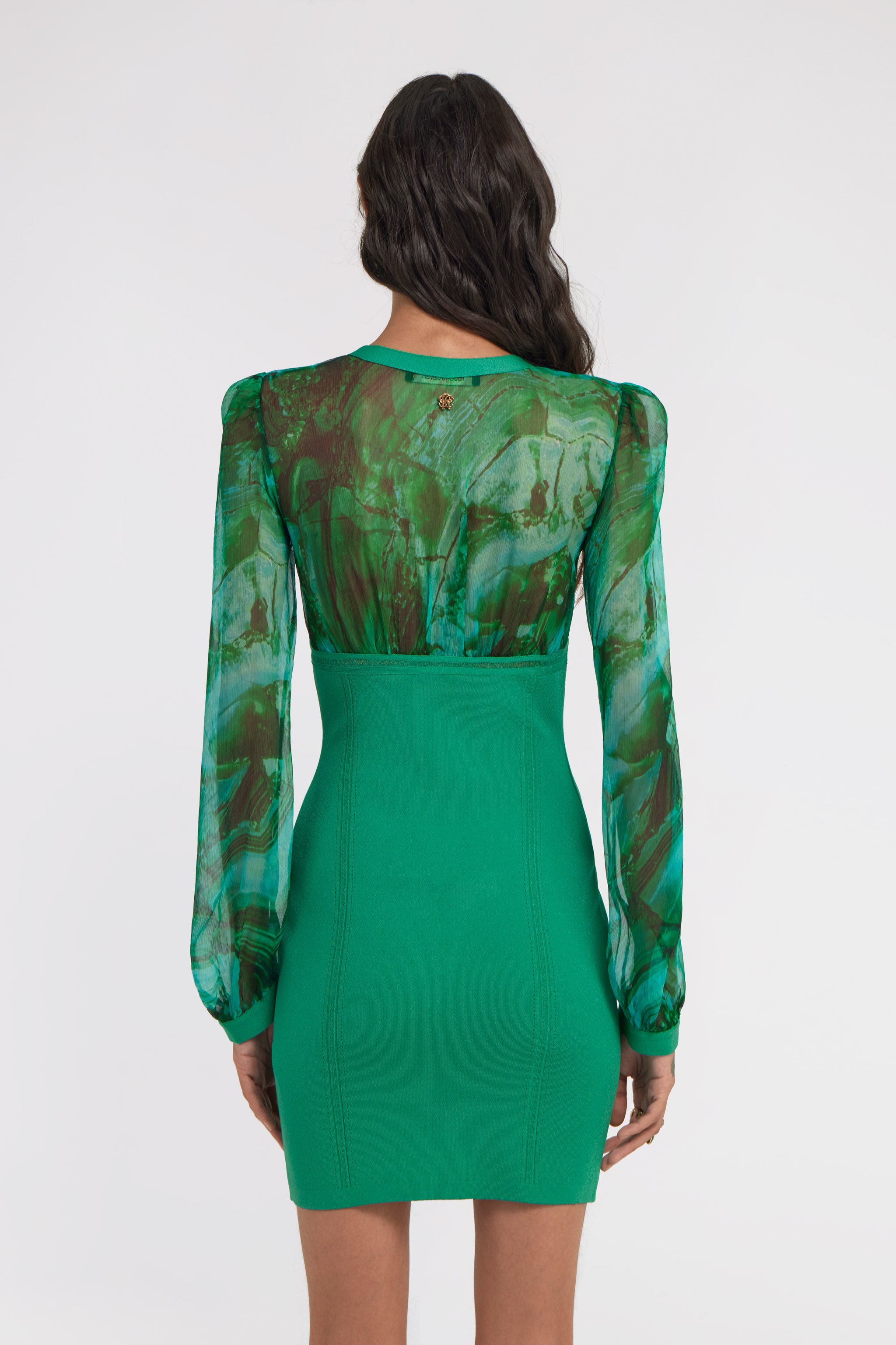 Roberto Cavalli V-neckline Fitted Silhouette Mini Length Sheer Long Sleeves In Green