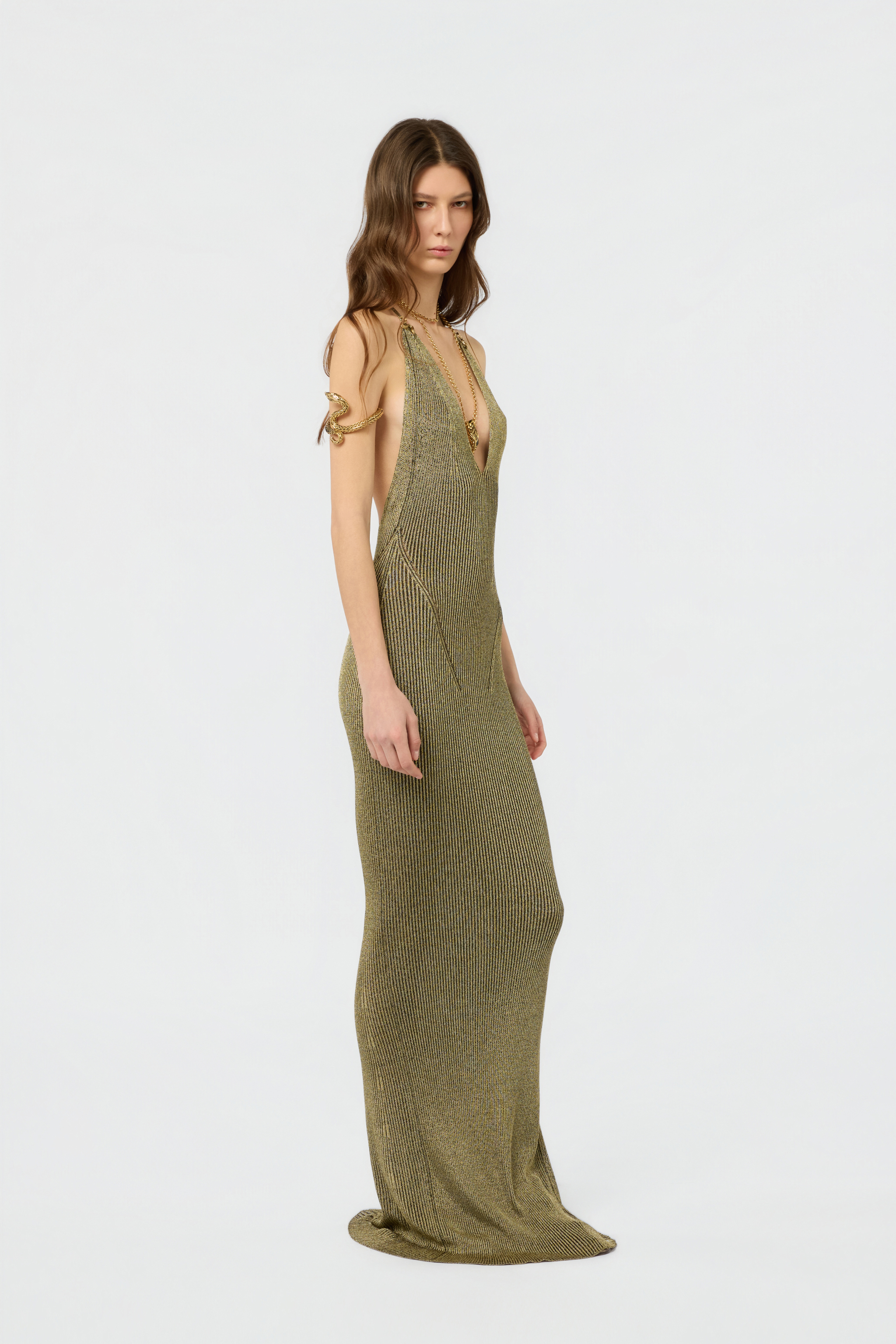 Roberto Cavalli Black And Gold Ribbed Maxi Dress With Snake Motif In Brown