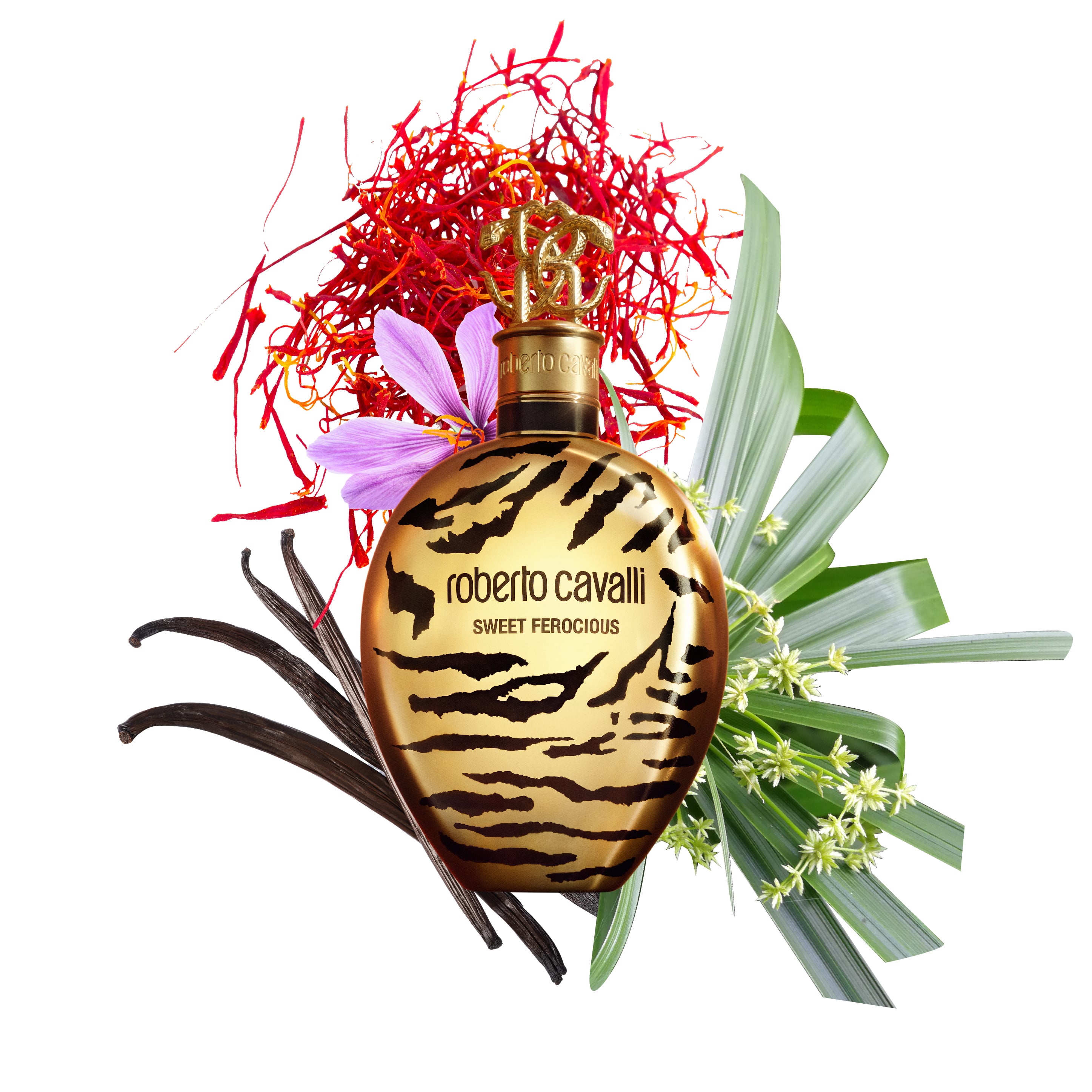 ROBERTO CAVALLI SWEET FEROCIOUS EAU DE PARFUM 75 ML in Gold for