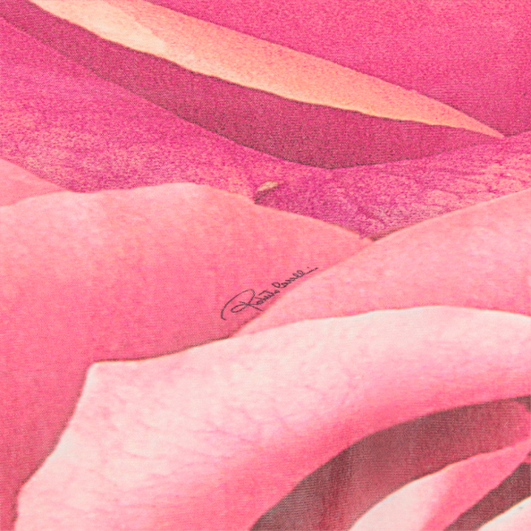 Shop Roberto Cavalli Kurzes Kleid Mit Print Rose Und Glitzernden Säumen In Rosa