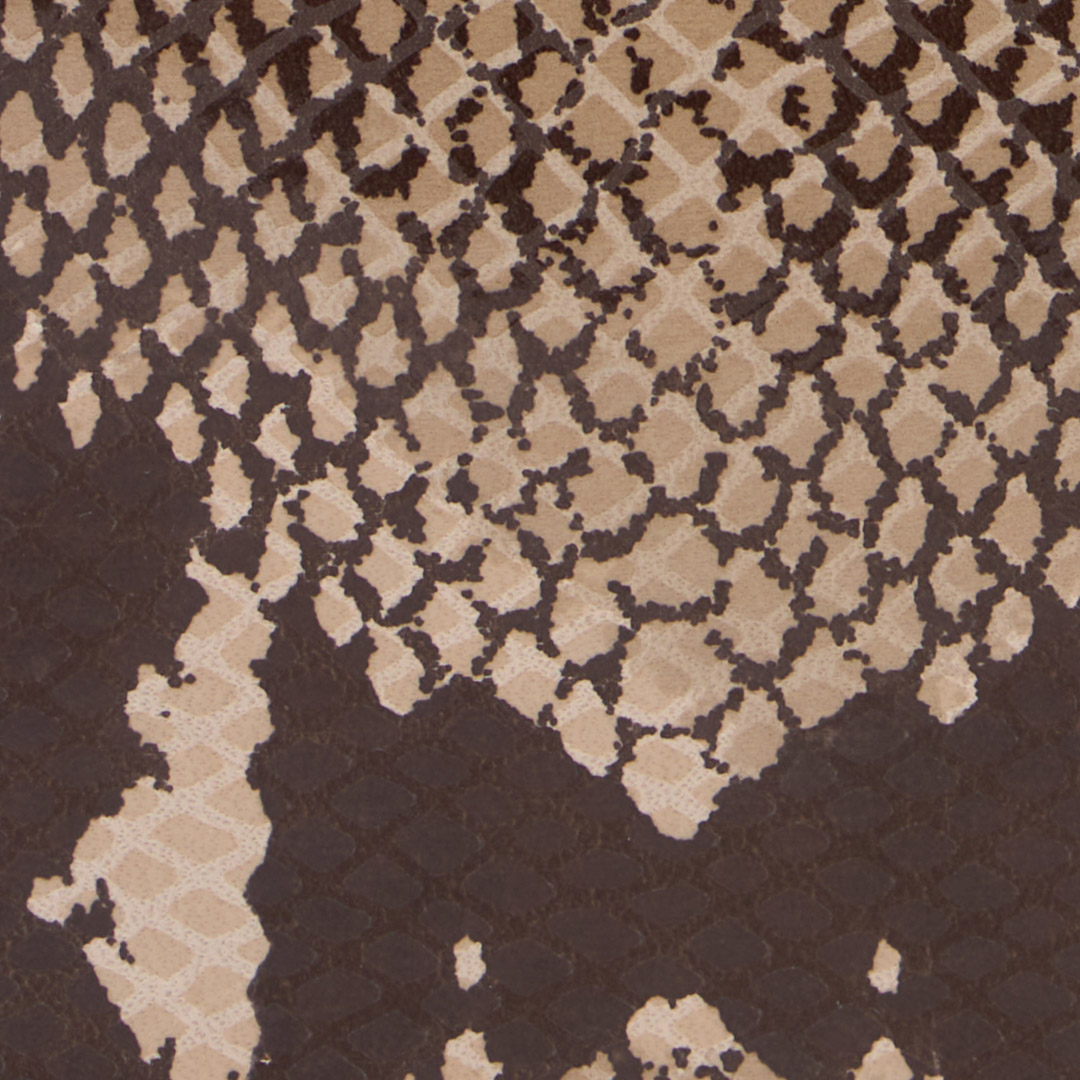 Roberto Cavalli Python Print Wallet In Brown
