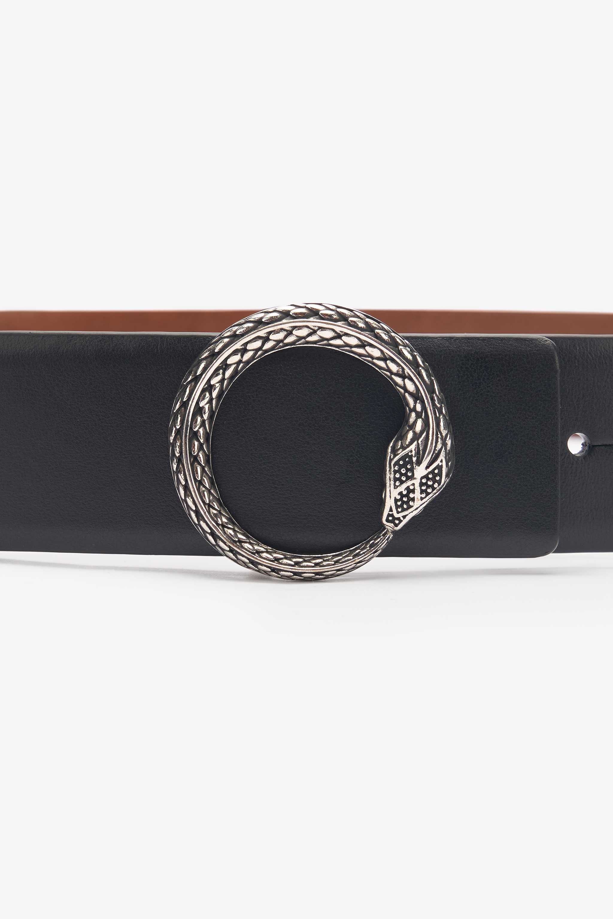 Roberto Cavalli Belt With Snake Buckle In Black