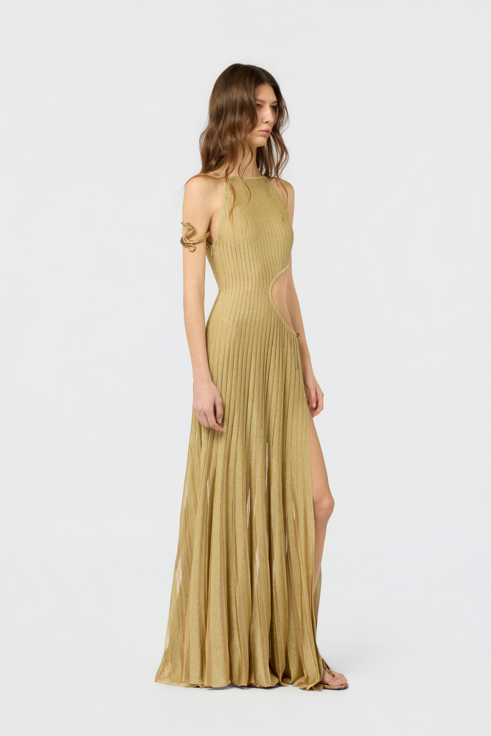 Roberto Cavalli Long Sheer Gold Dress With Cut-outs In Nude