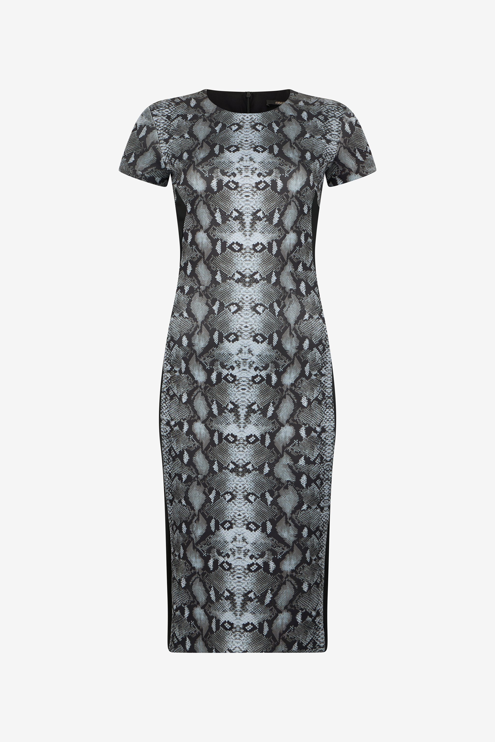 Snake Print Midi Dress