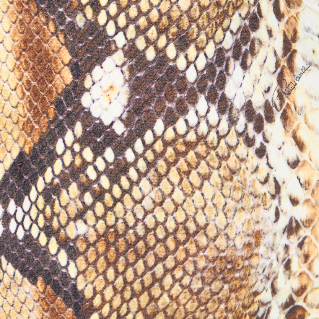 Roberto Cavalli Python Print Mini Skirt In Brown