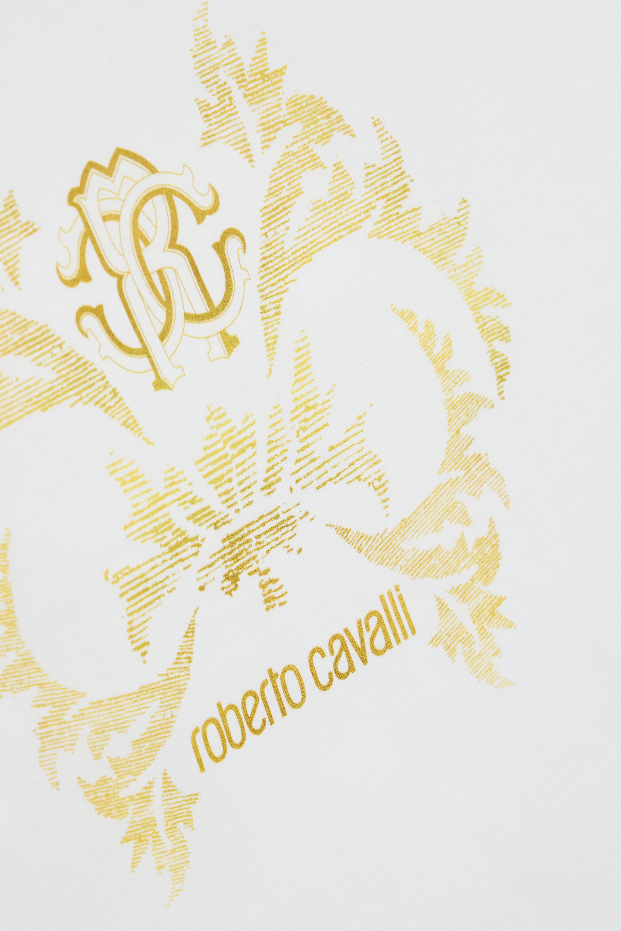 Roberto Cavalli Gold Blanket With Floral Print In Gold